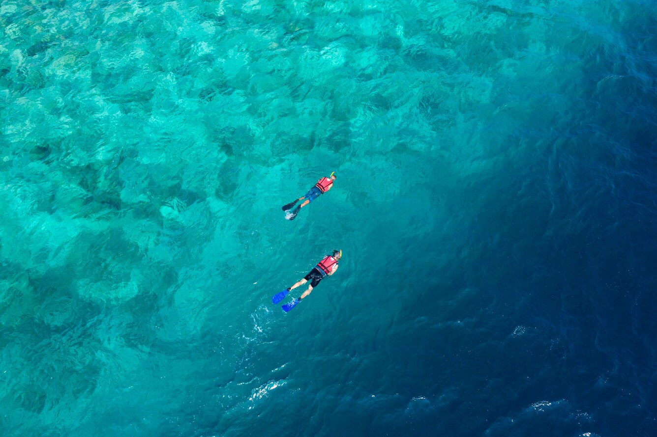 Snorkeling in the ocean