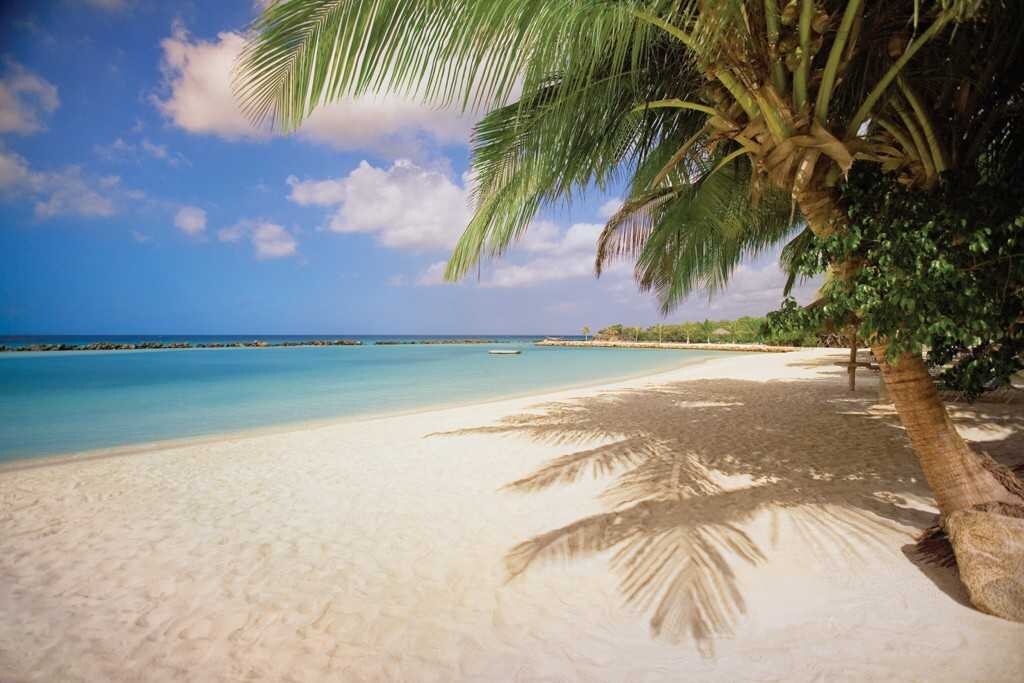 Explore Your Next Vacation