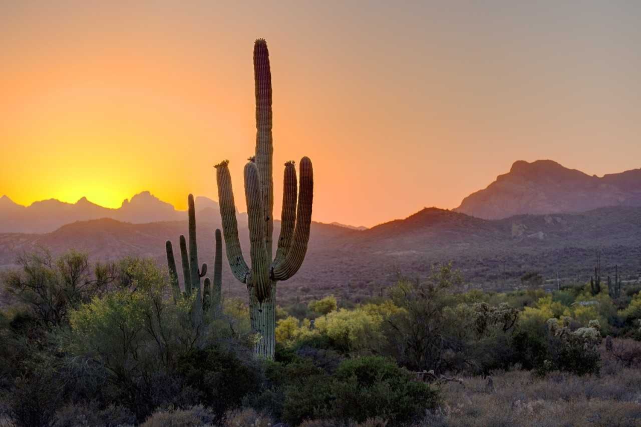 Explore Your Next Vacation