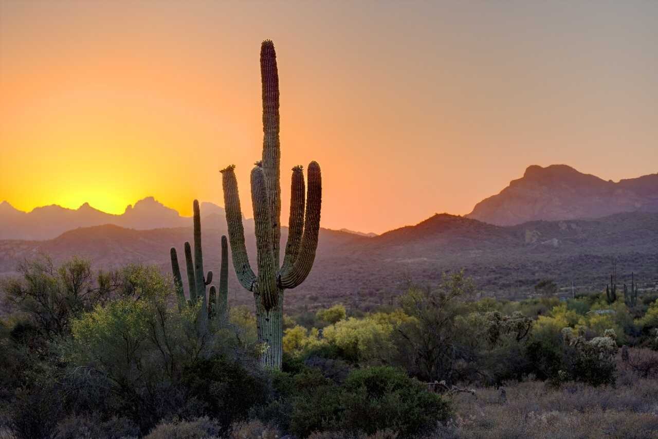 Explore Your Next Vacation