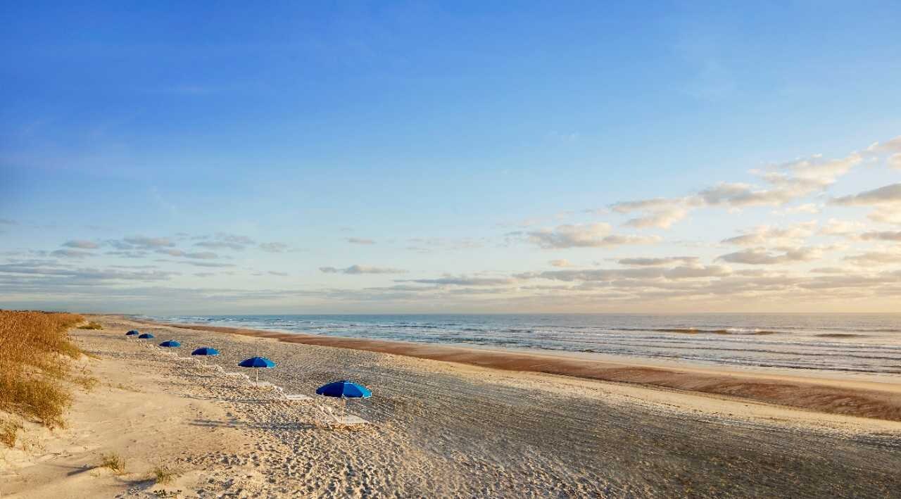 Explore Your Next Vacation