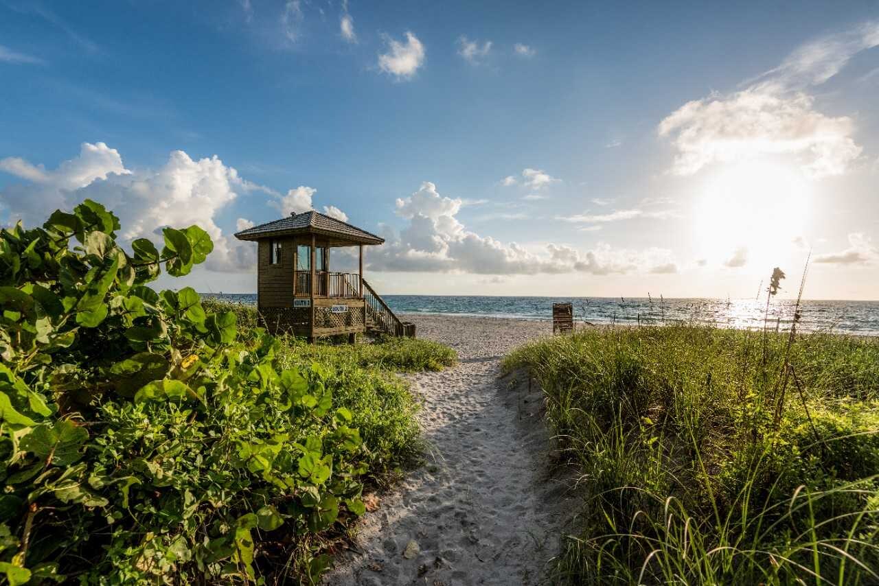 Explore Your Next Vacation