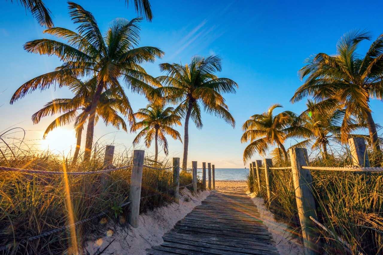 Explore Your Next Vacation