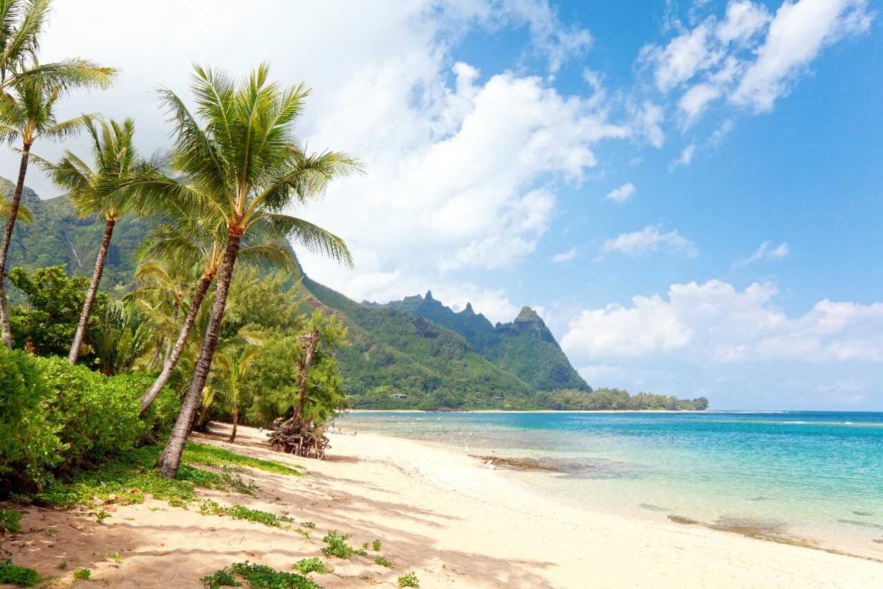 Explore Your Next Vacation