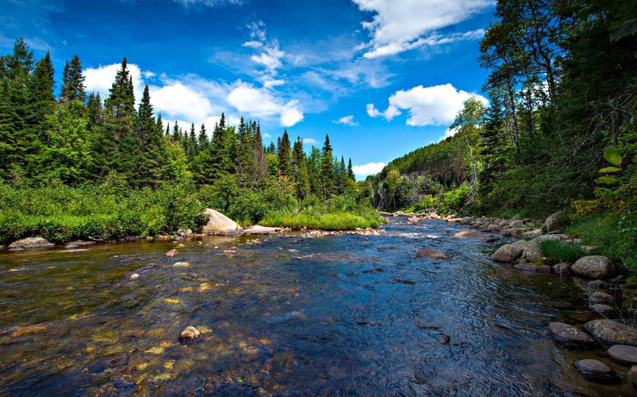 Explore Your Next Vacation