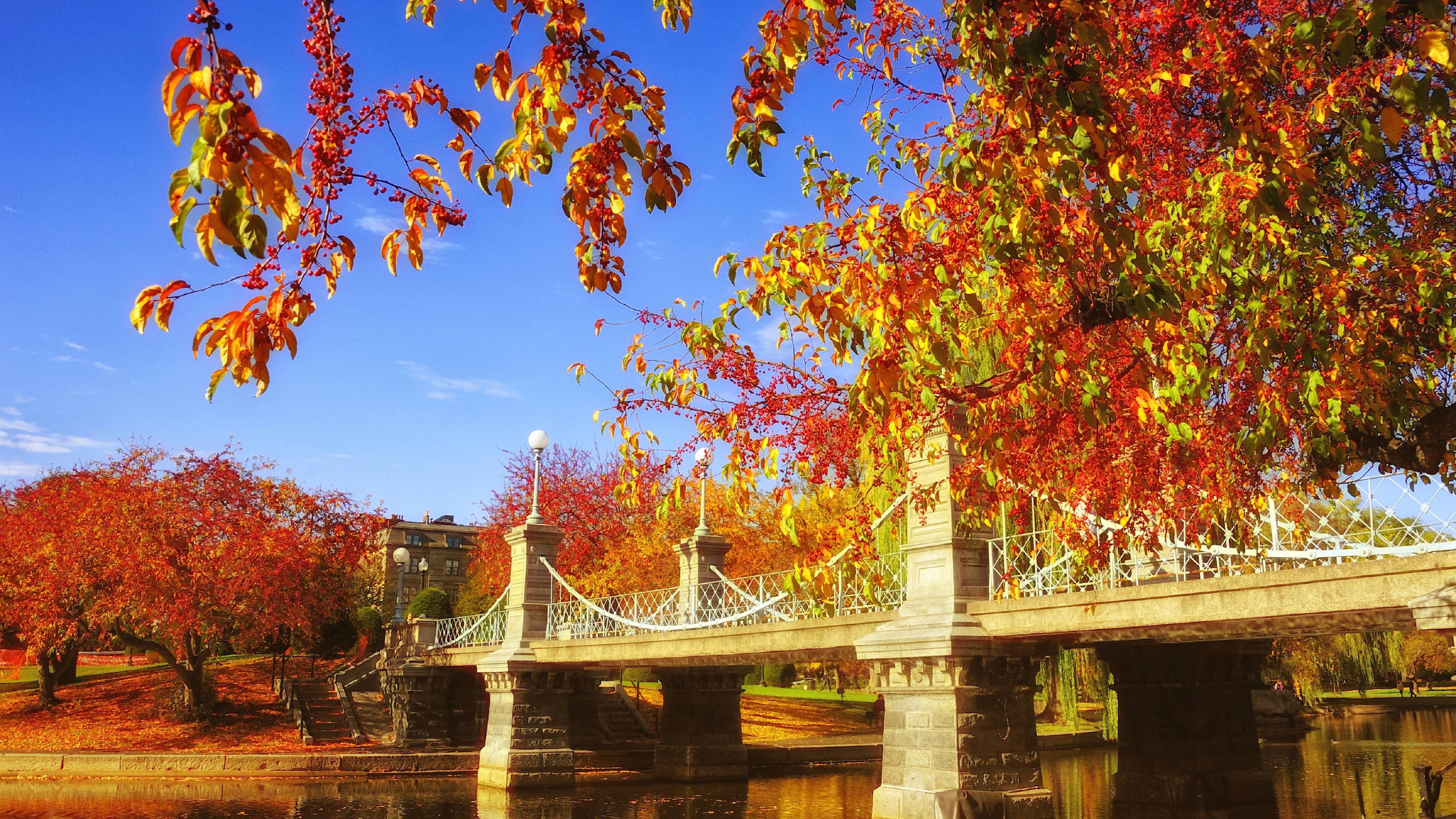 Boston Common