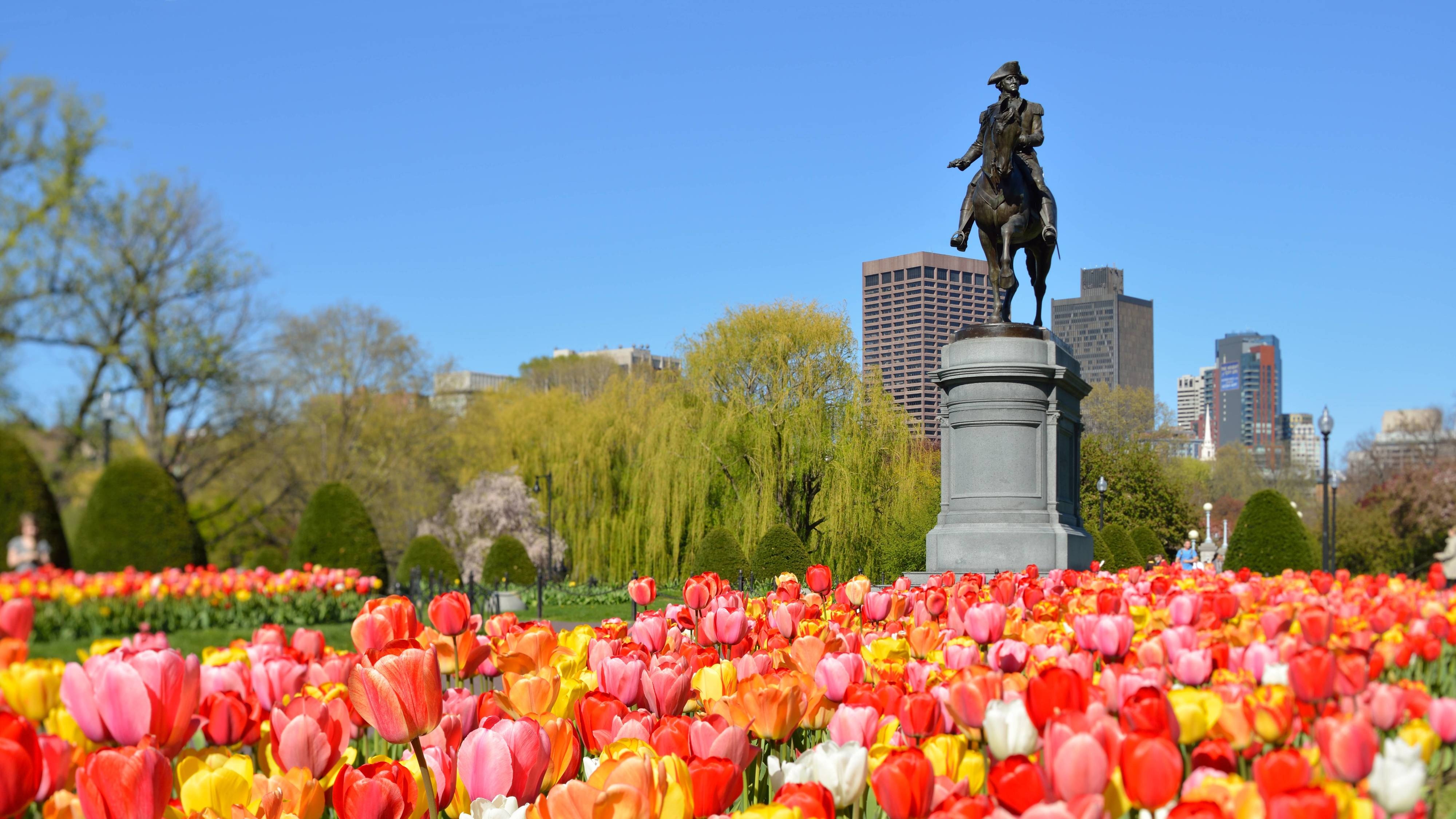 Boston Public Garden