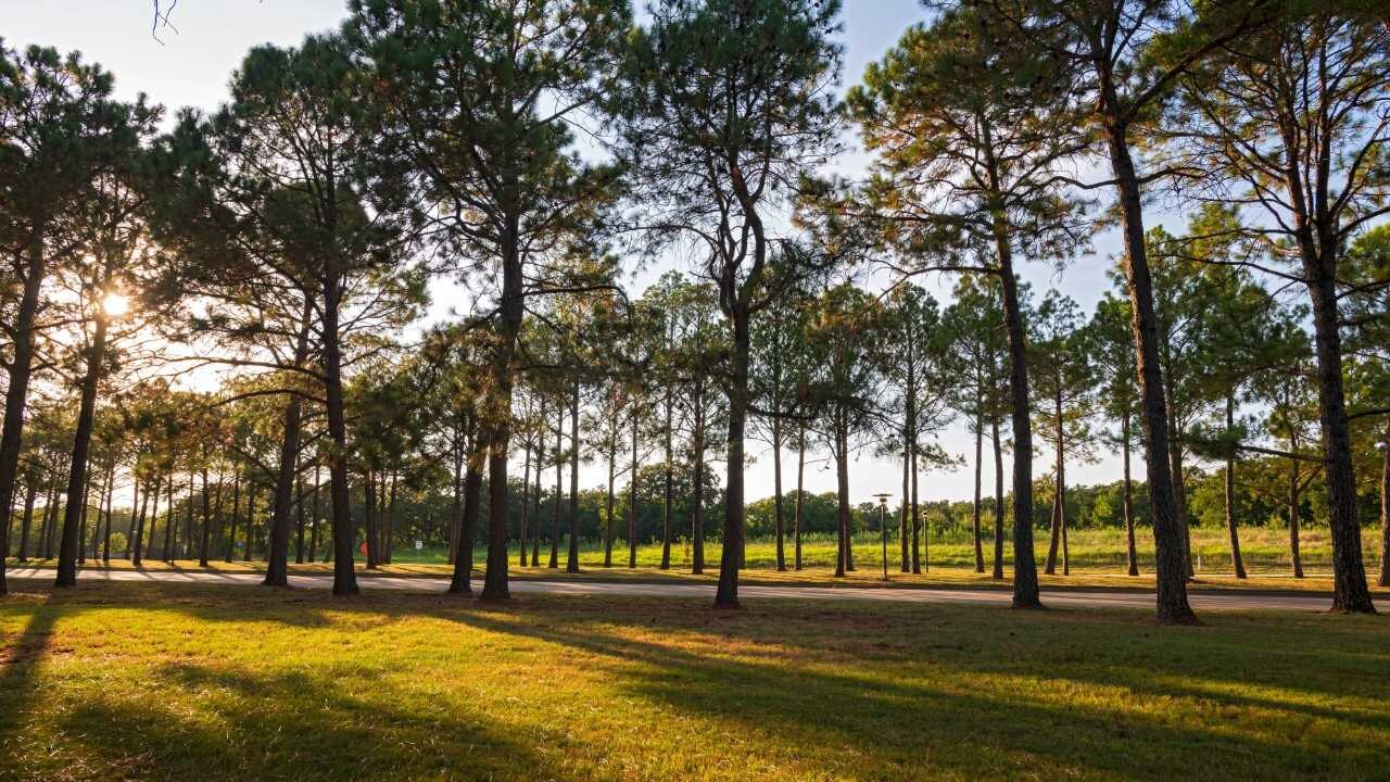 dalwl-localarea-park