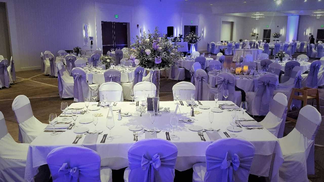 Wedding Reception