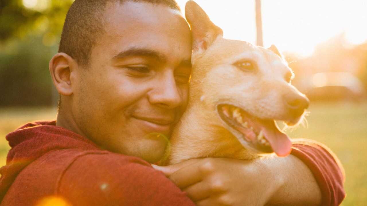 fsdsi-pet-home02
