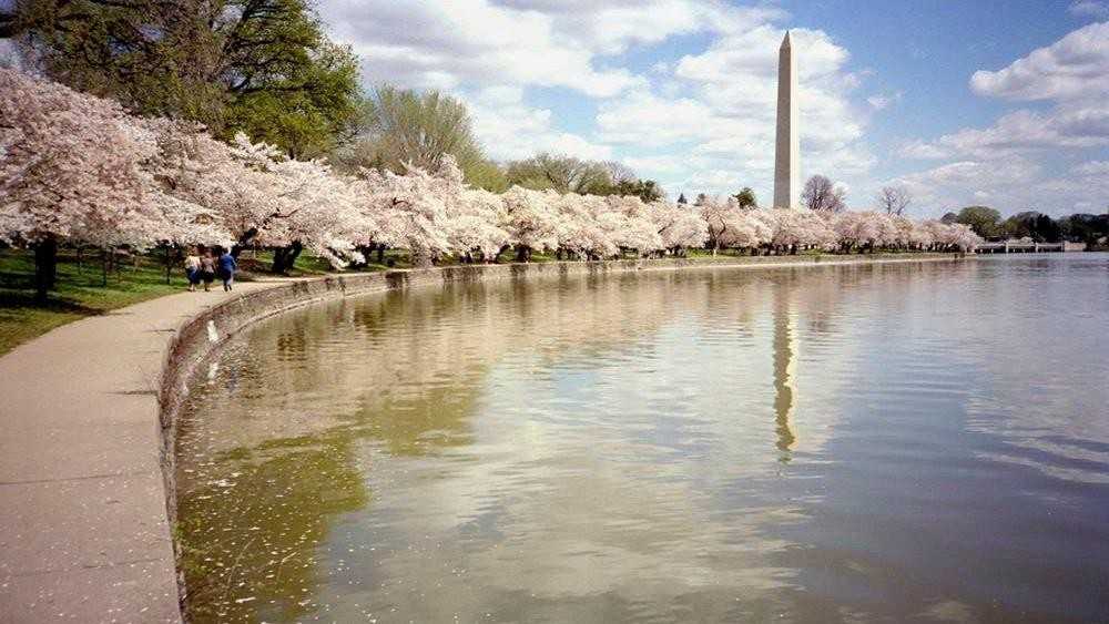 Washington Monument