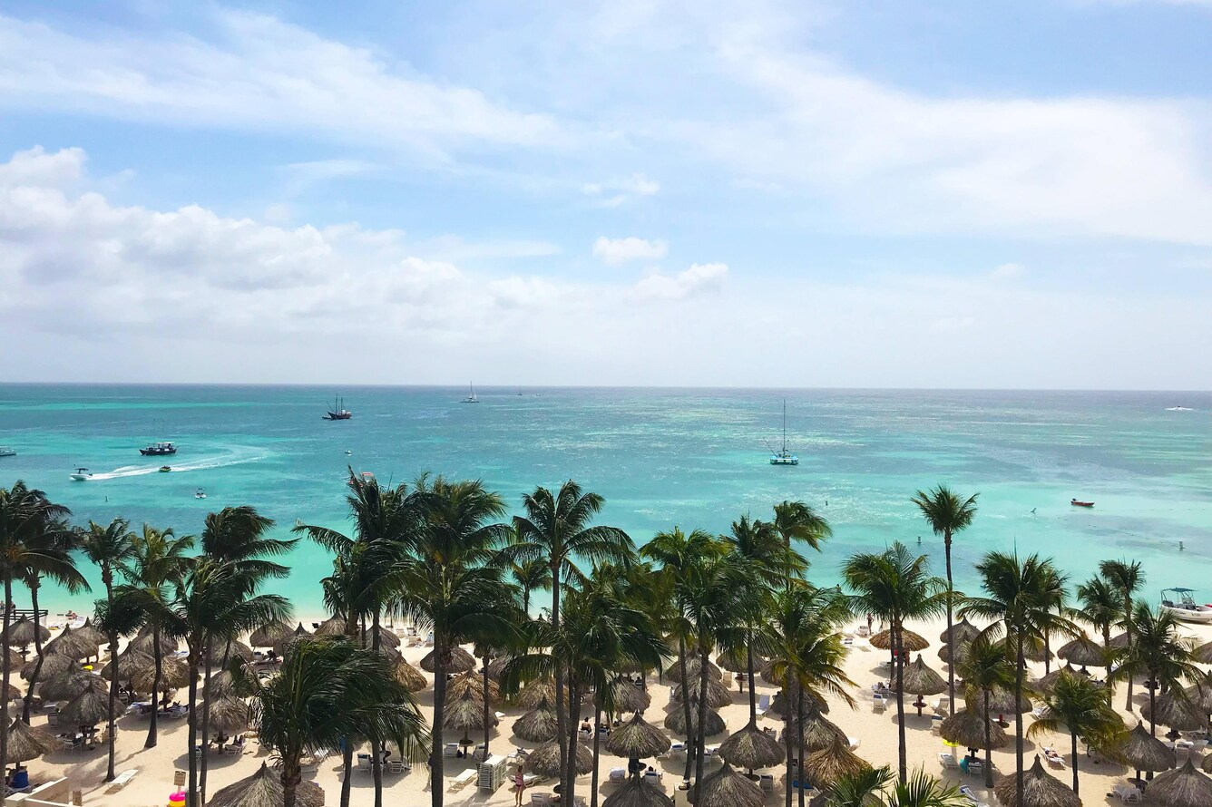 Aerial view beach with pam trees.