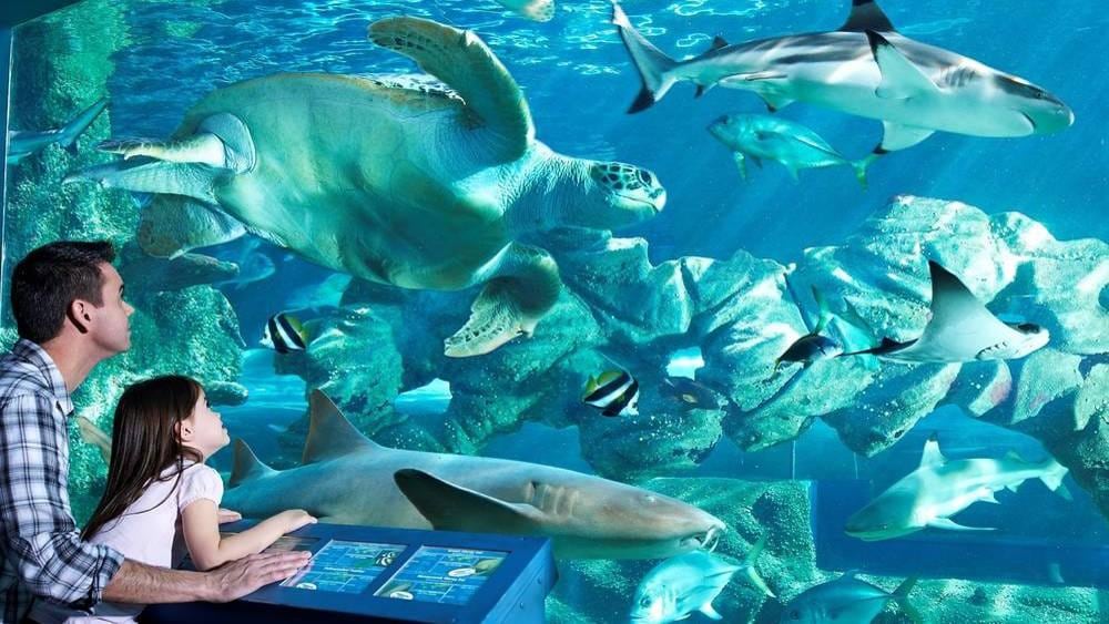 Bournemouth Aquarium