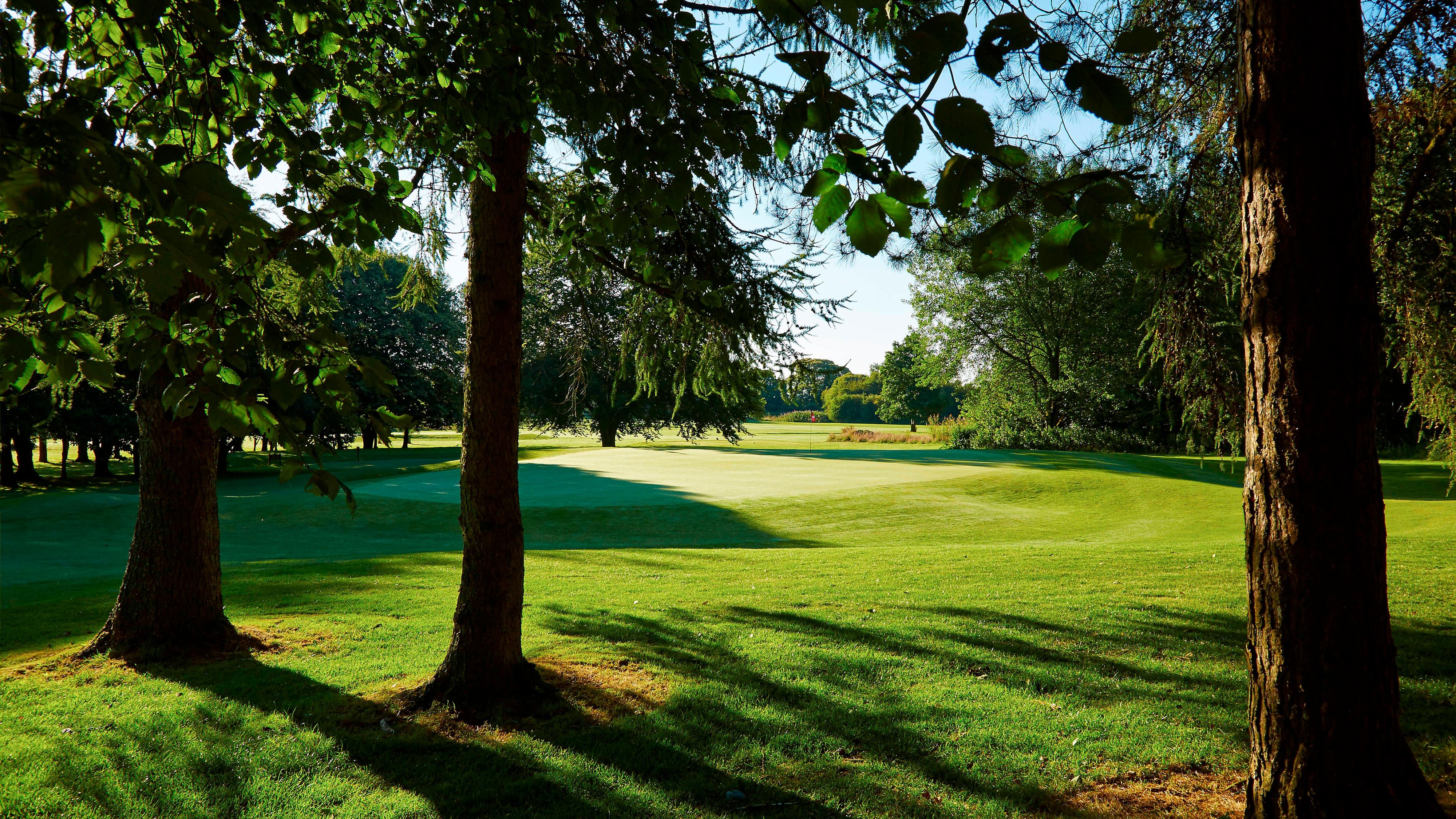 Golf course bordered by trees