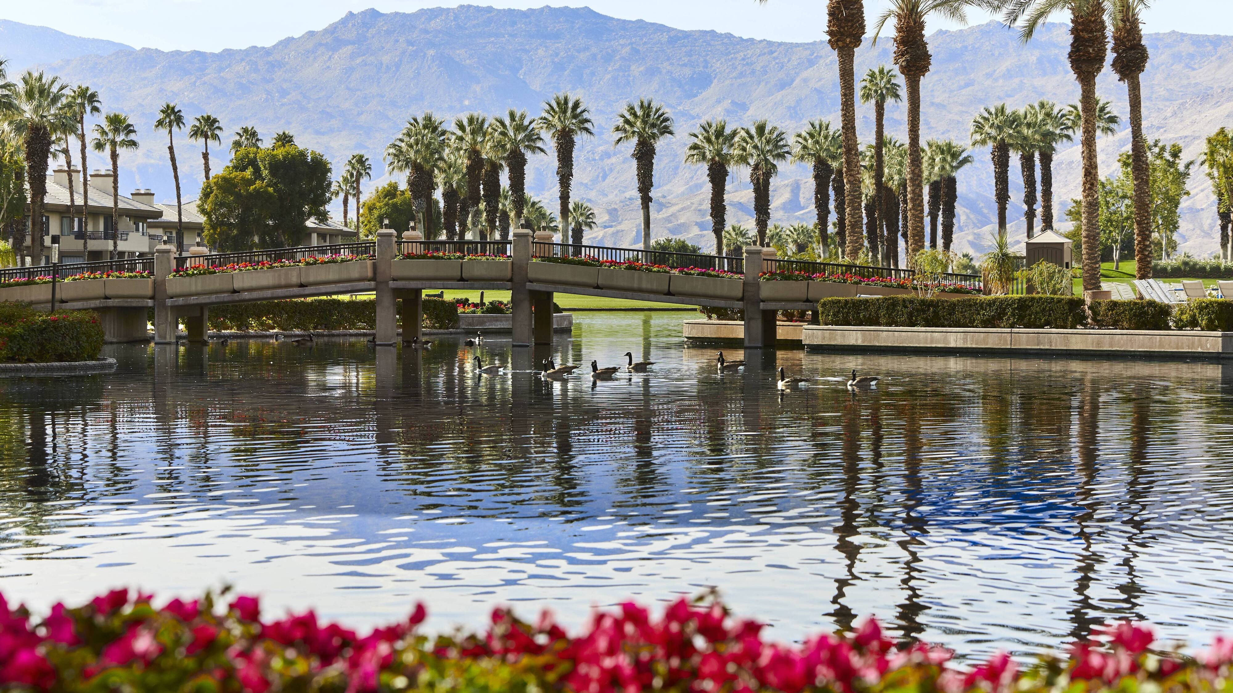 Bridge over water surrounded by palm trees and mountains