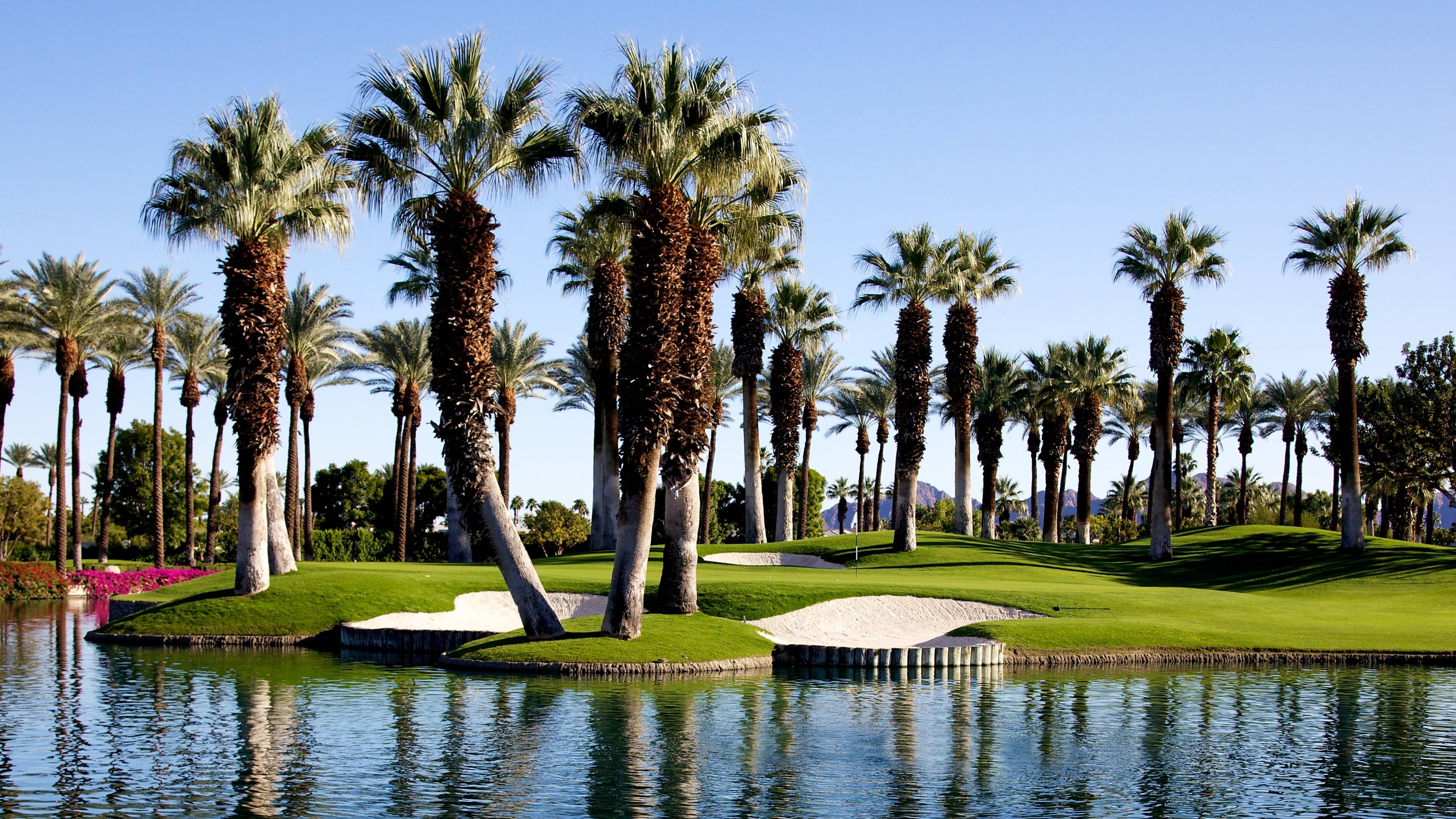 Golf course lake and palm trees