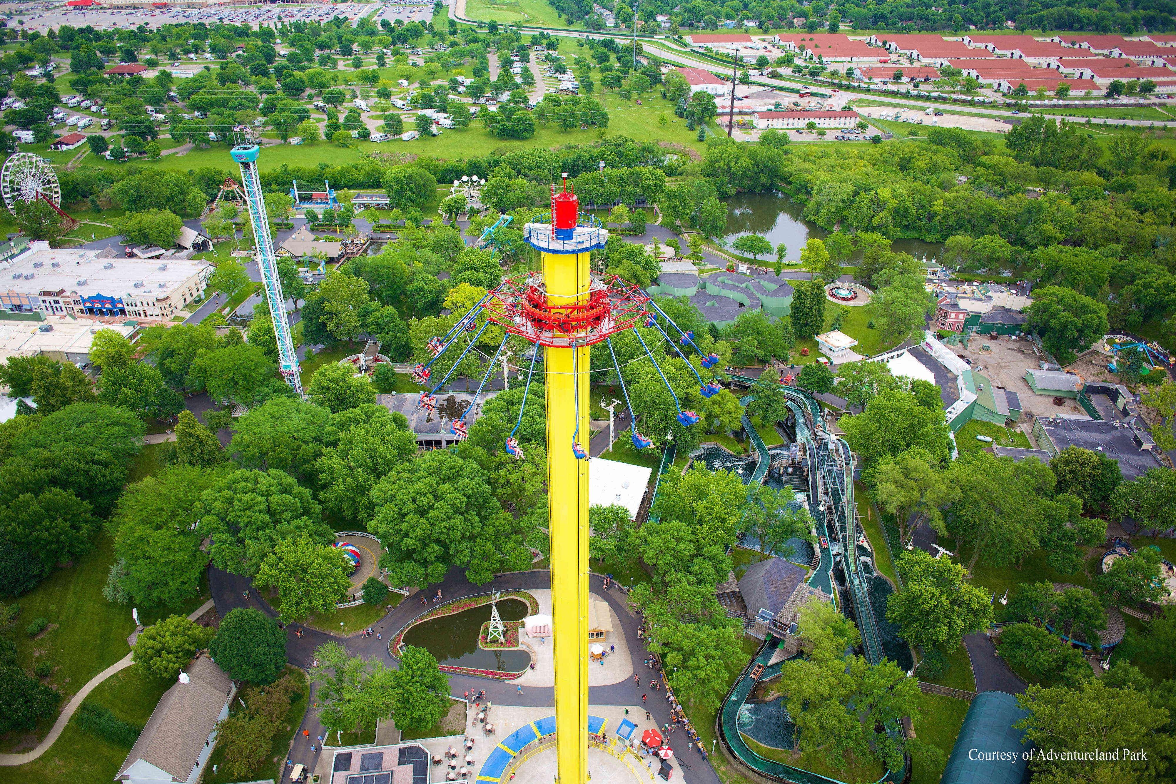 roller coaster