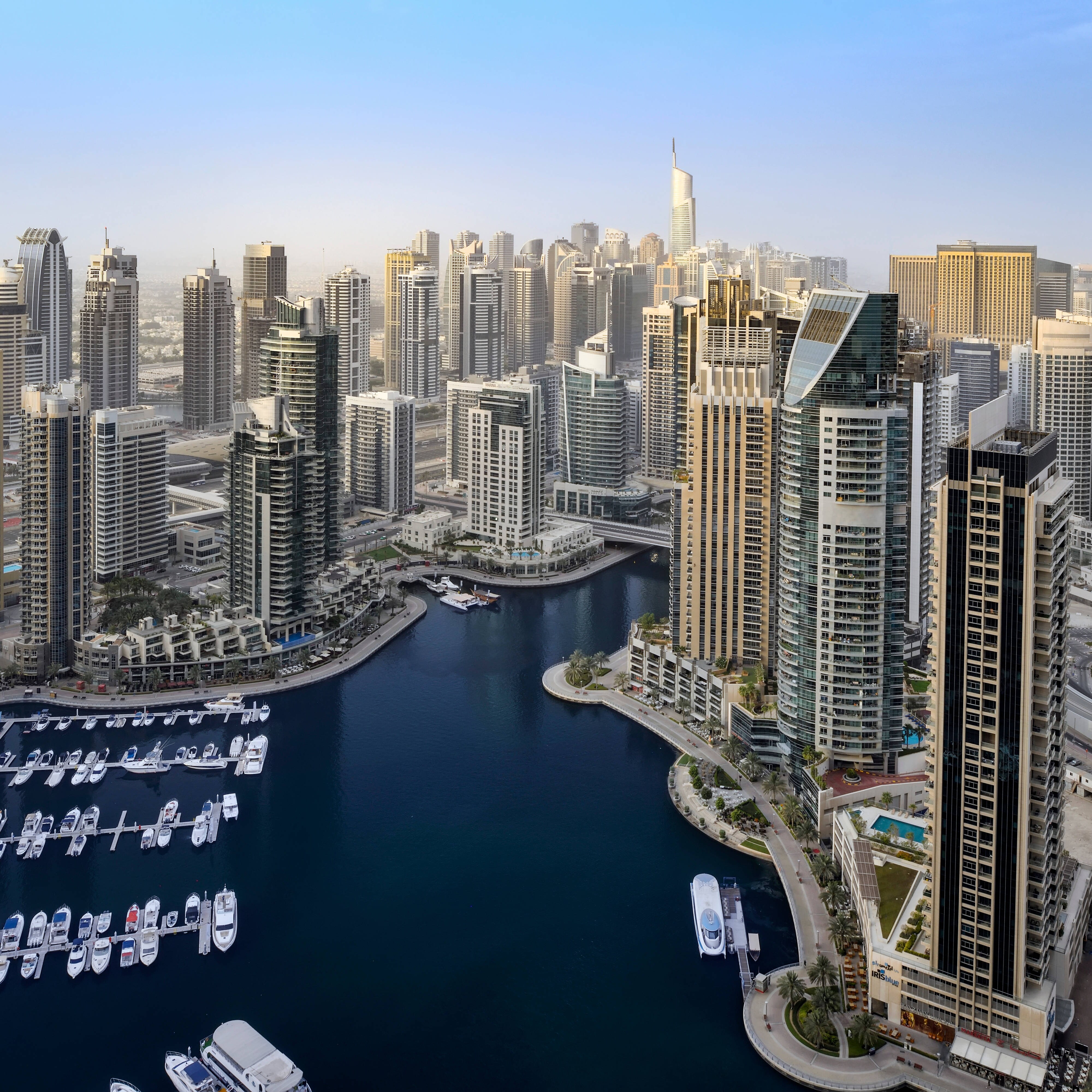 도시 스카이라인과 항구