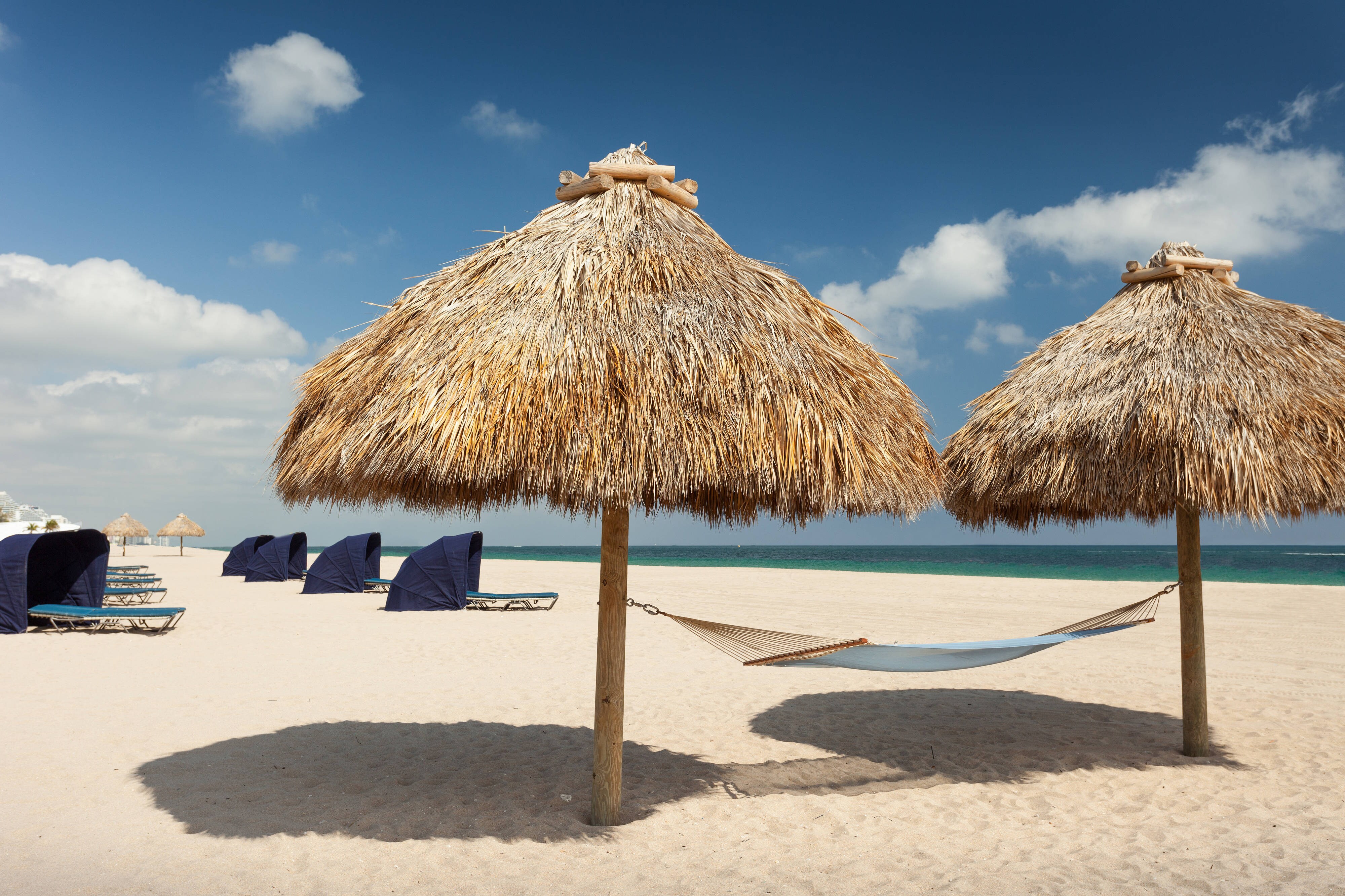Lounge chairs and umbrellas on the beach