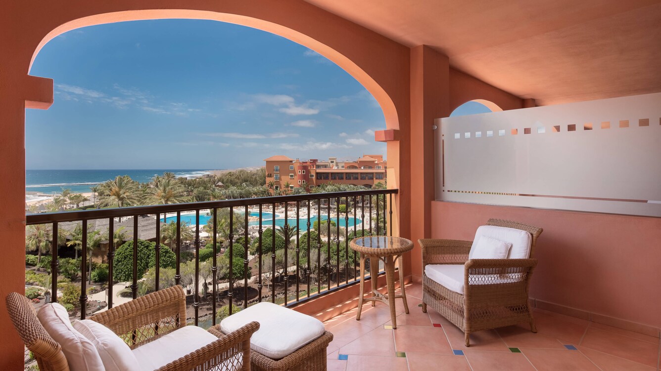 Deluxe Guest Room Terrace