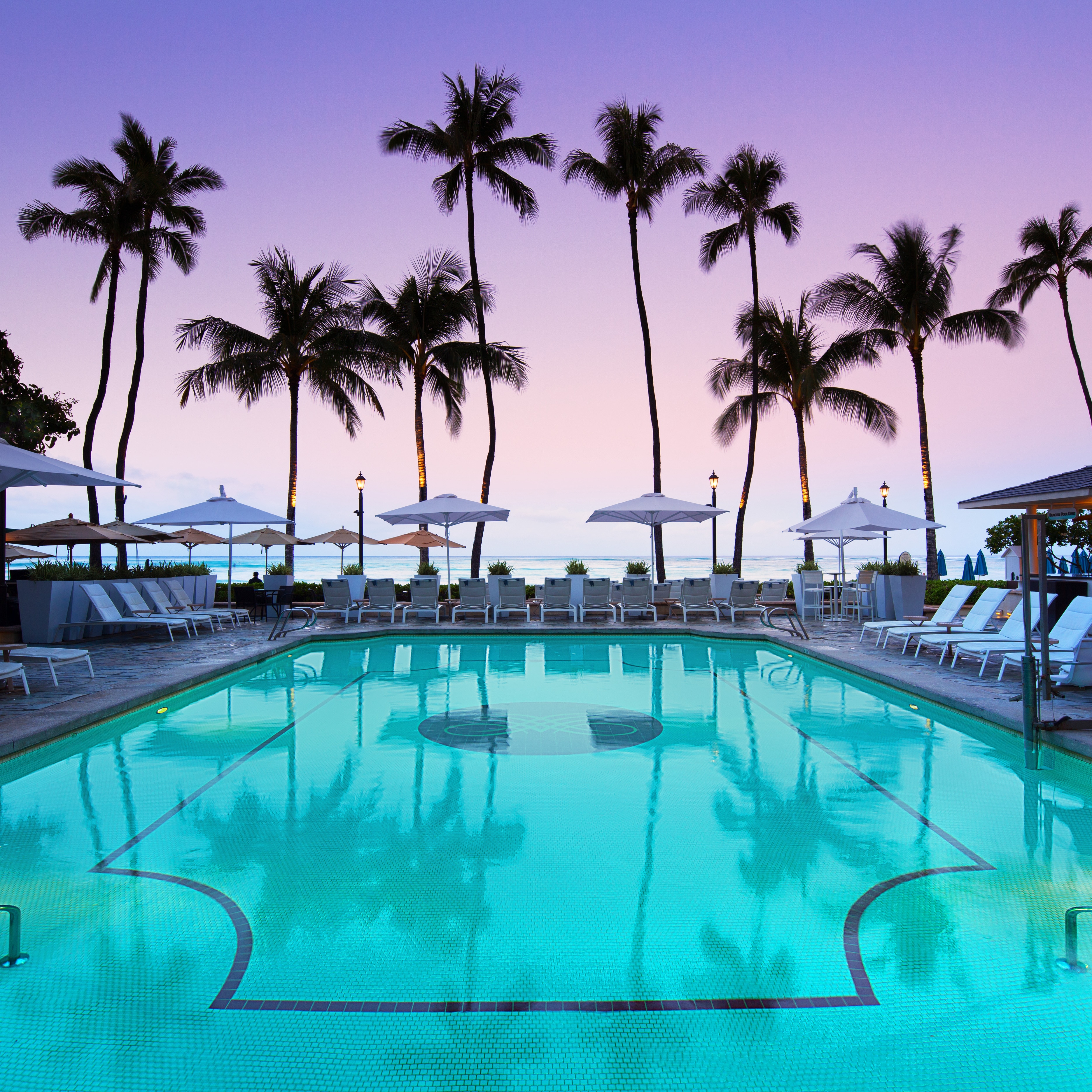 Outdoor swimming pool with silhouettes of palm trees