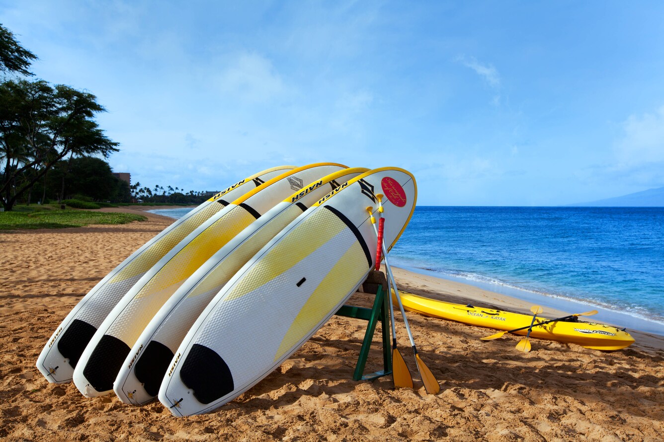 Paddleboards stood on beach next to water.