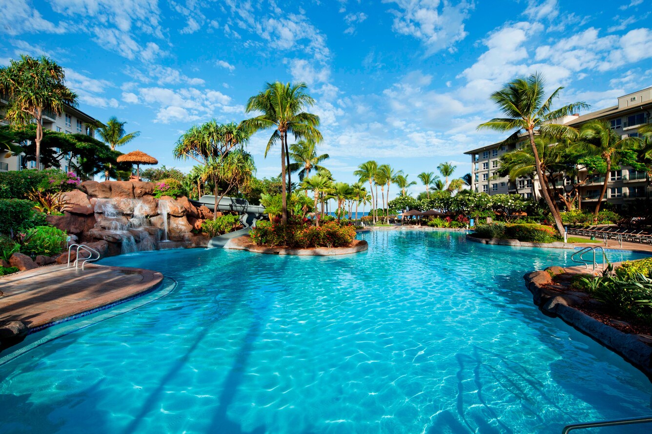 Outdoor pool surrounded by palm trees.