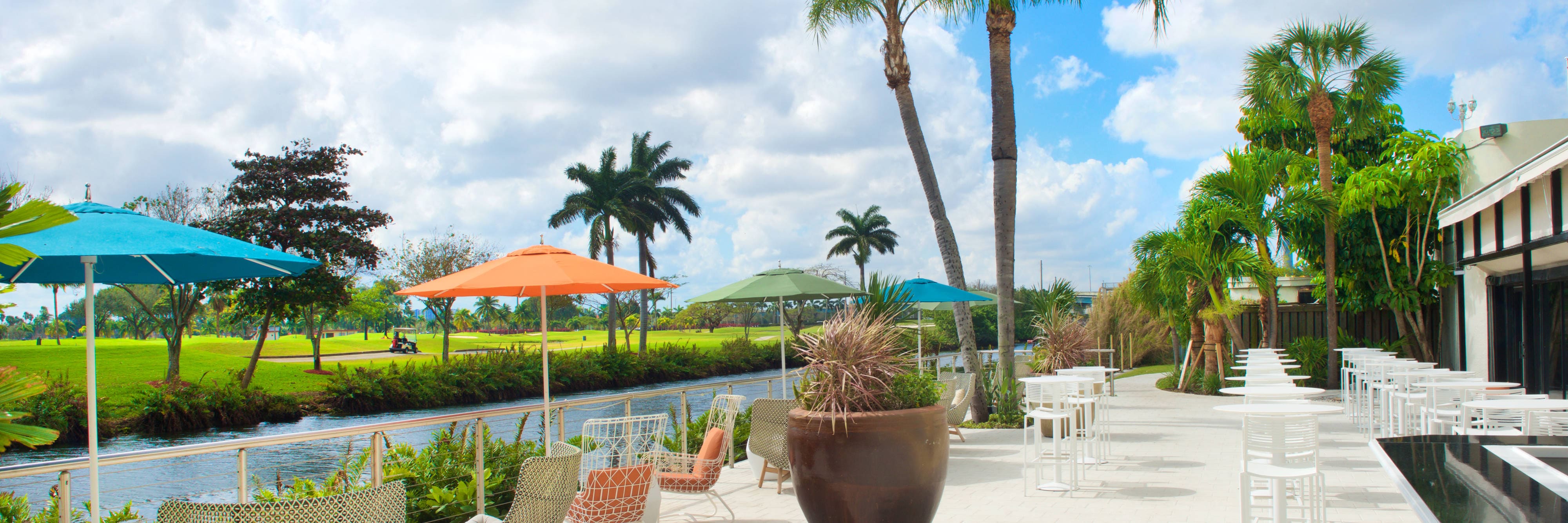 Outdoor seating under palm trees