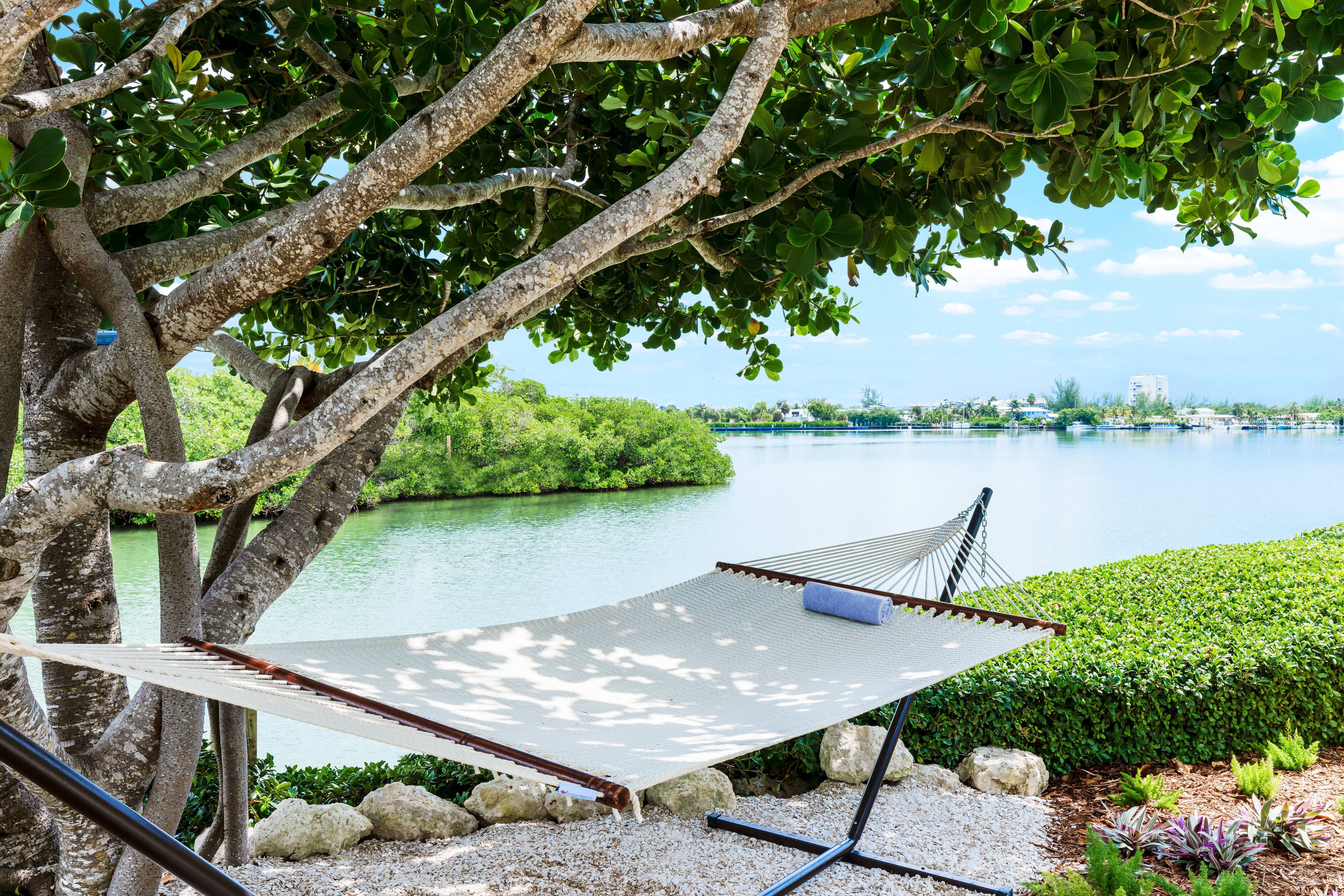 Waterfront hammock