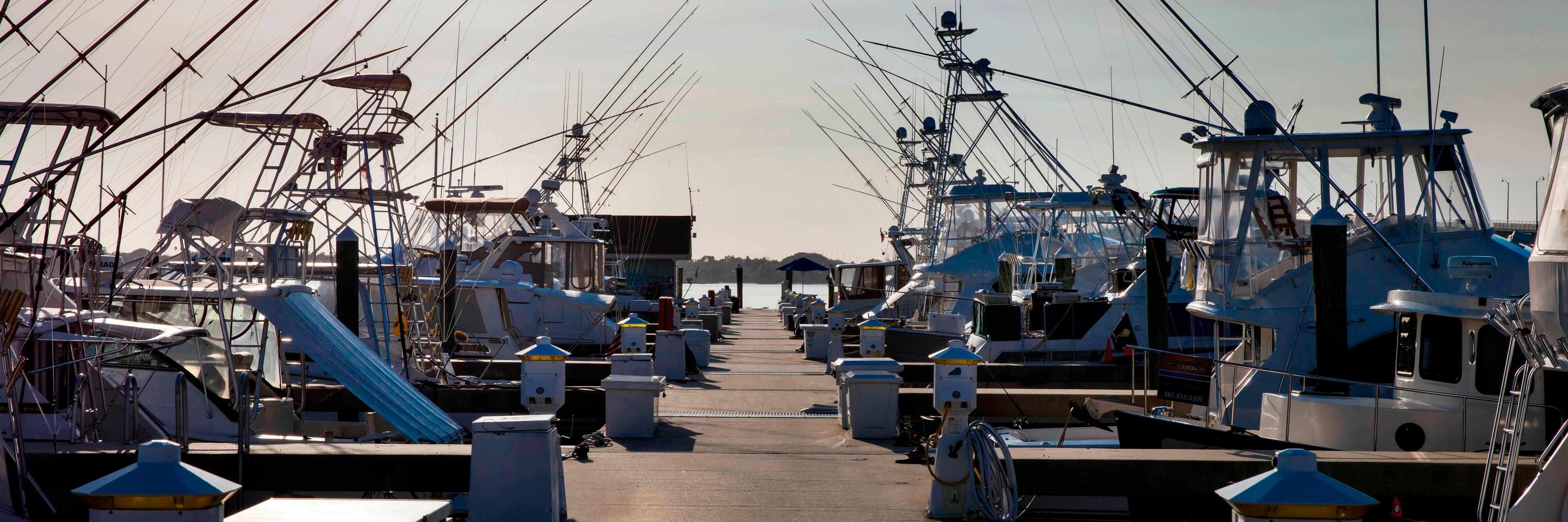 Marina daytime