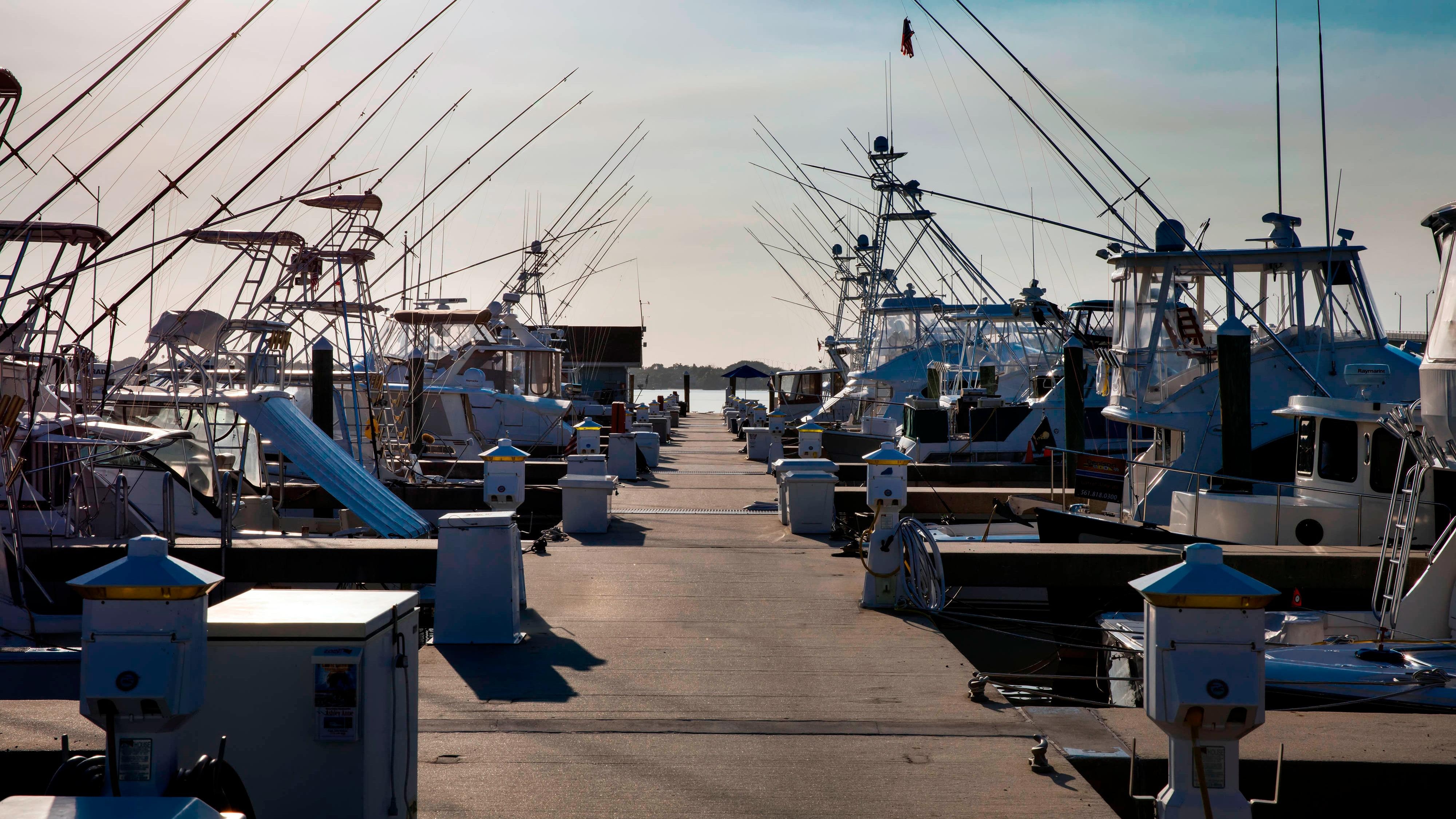 Marina daytime