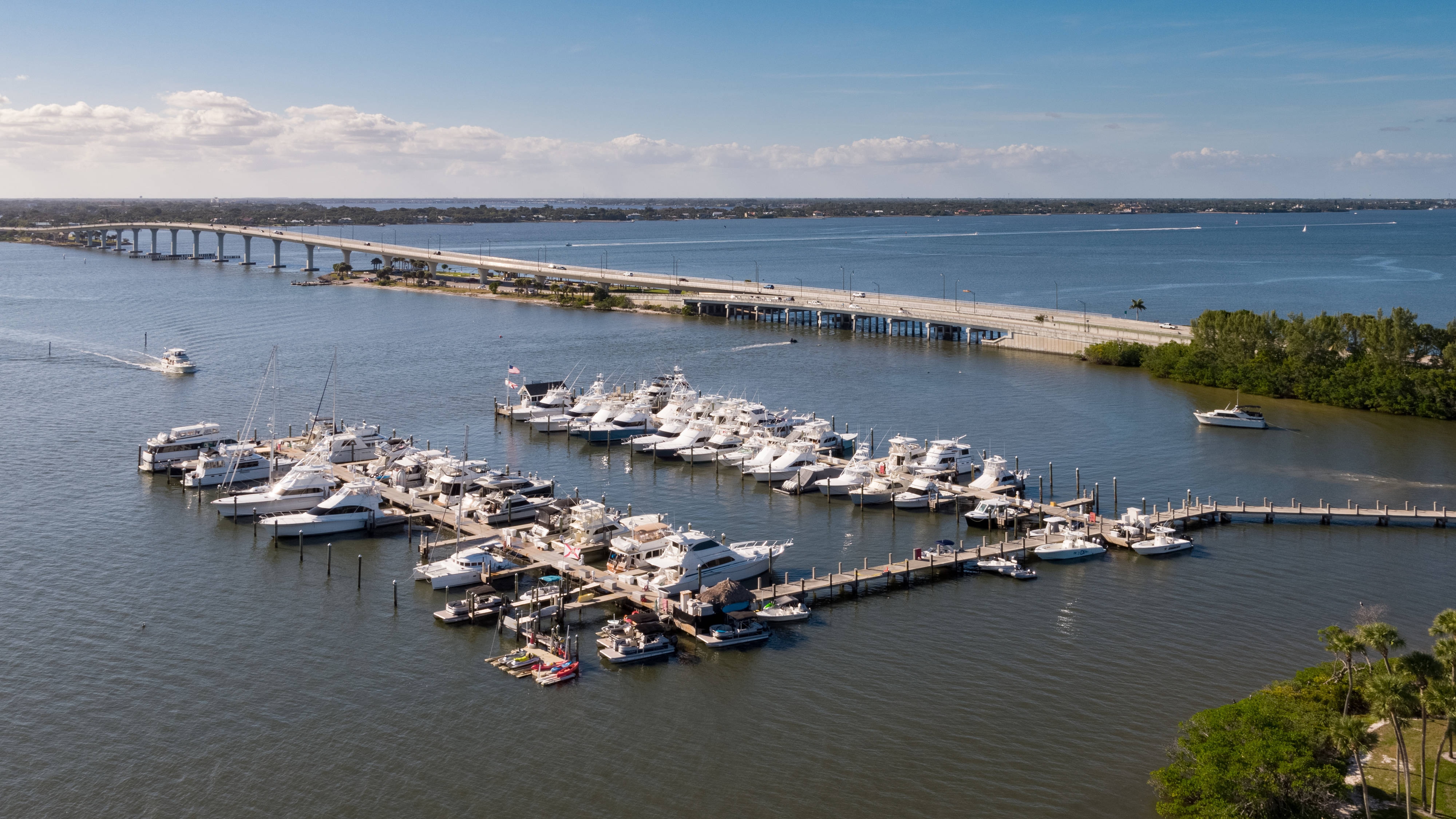 Marina daytime