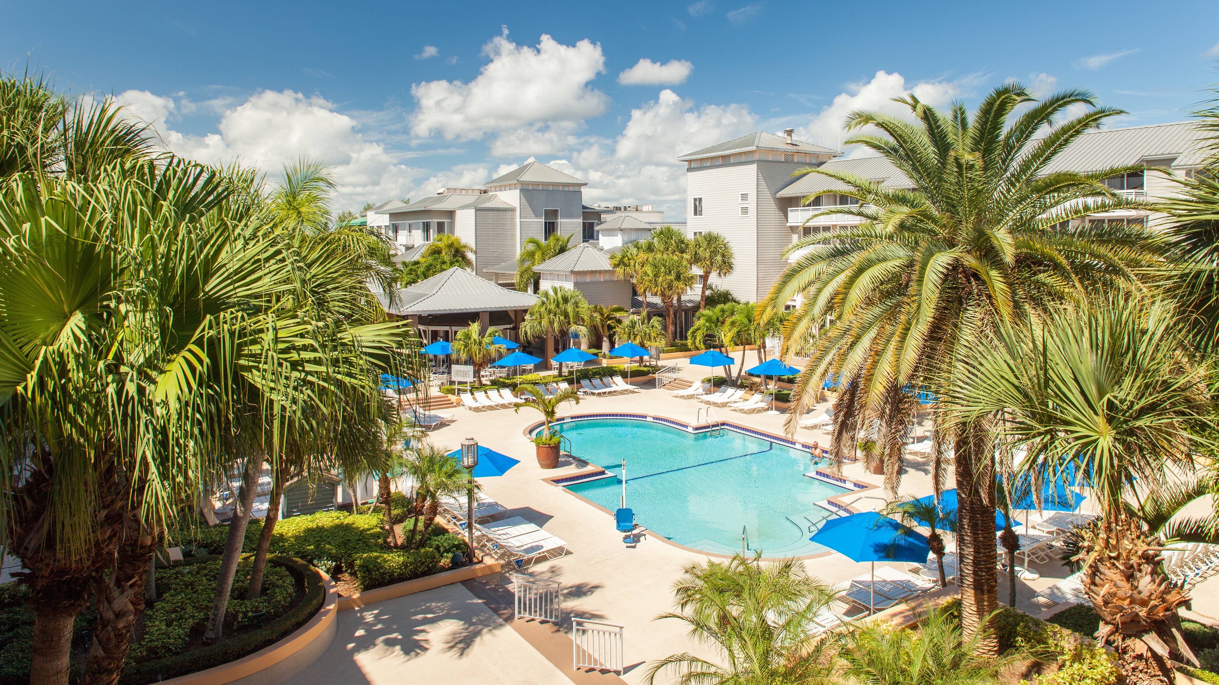 Outdoor pool with palm trees