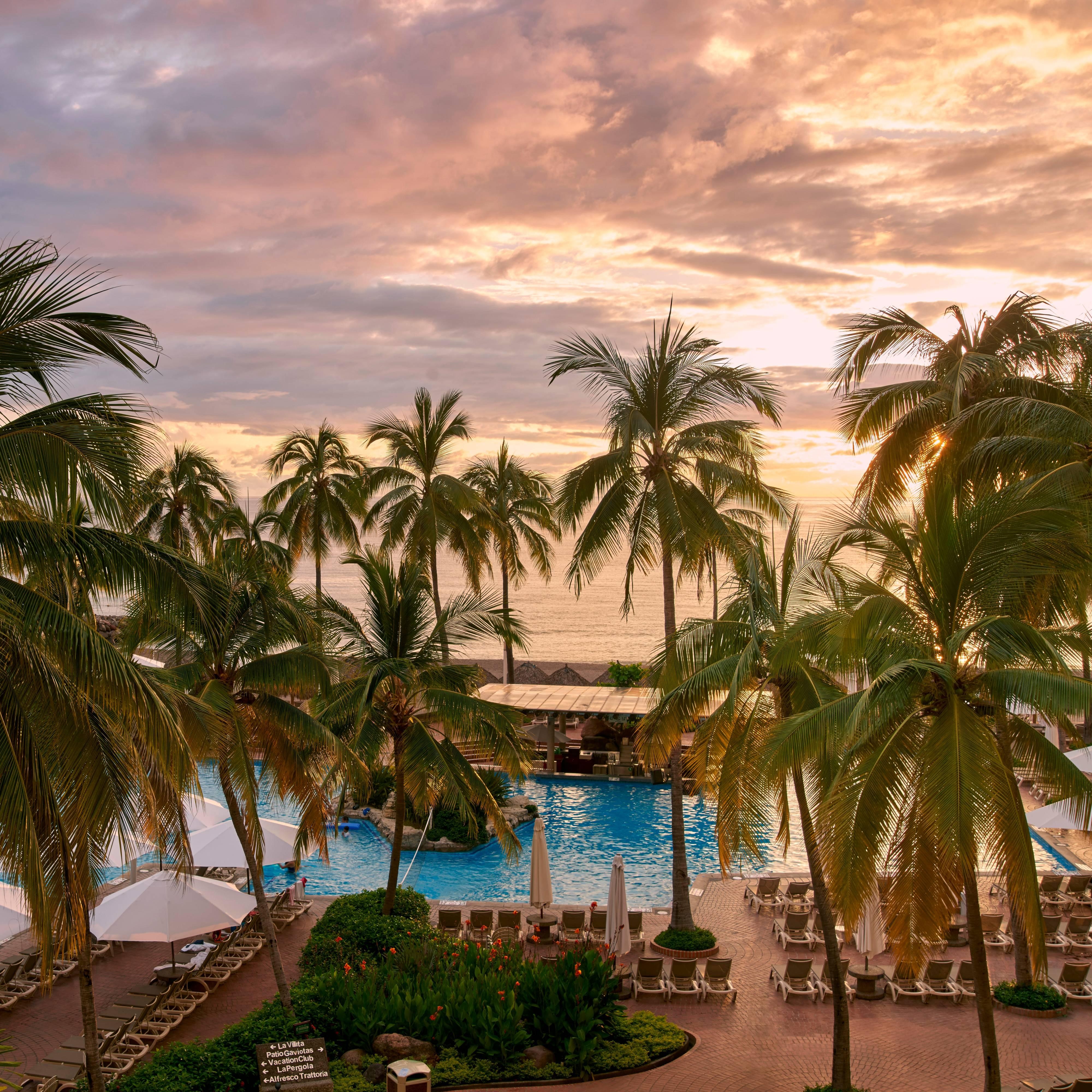 Imágenes de palmeras y piscina