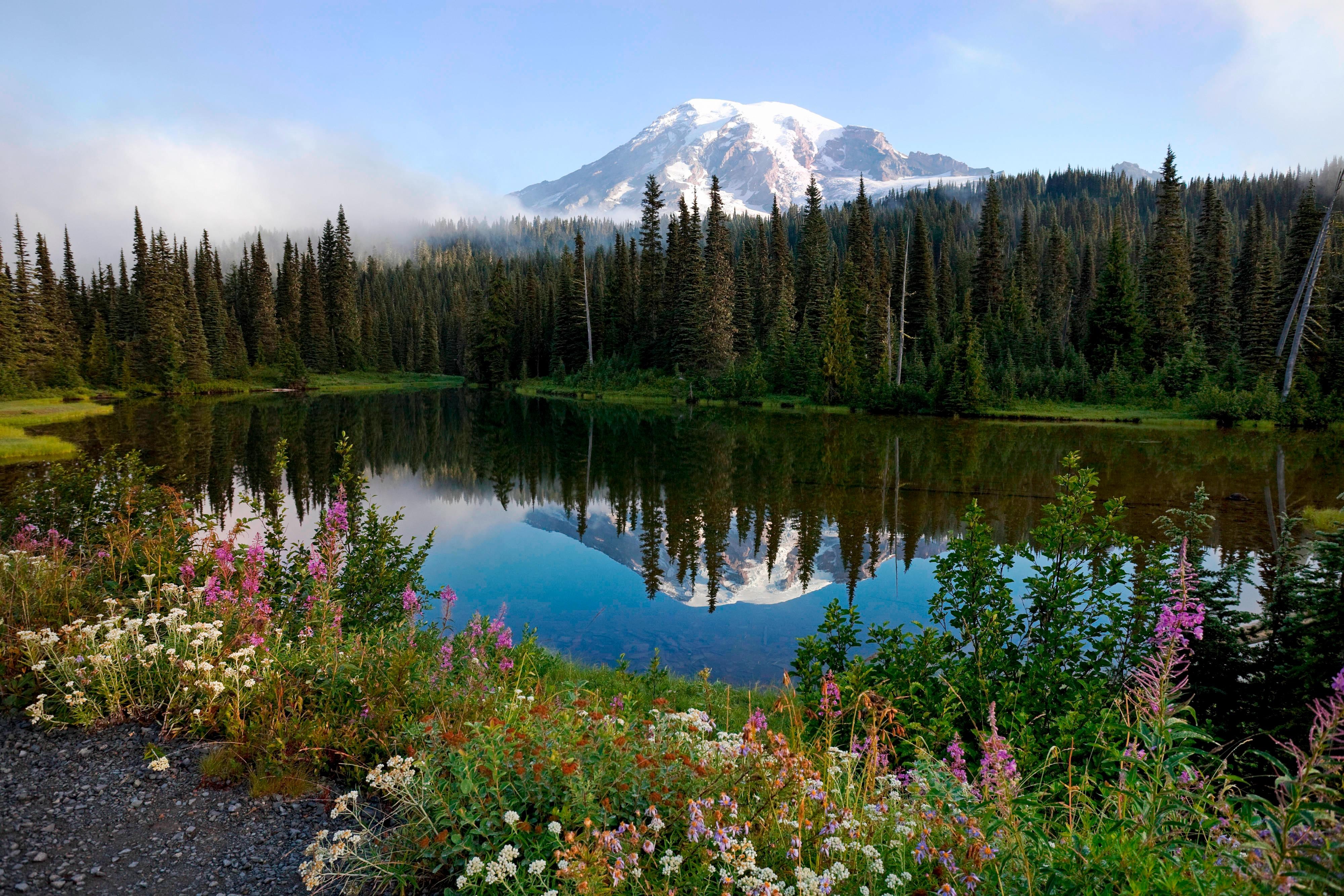 Mount Rainier