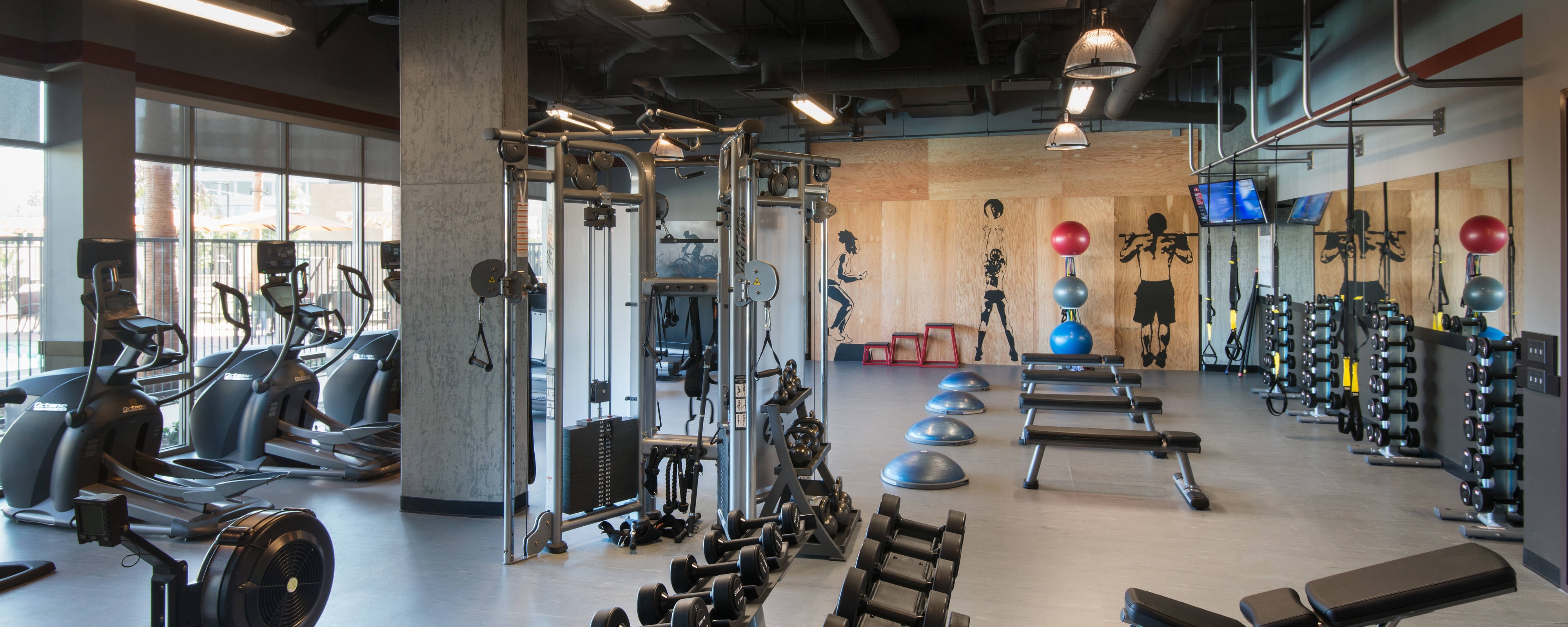 Fitness