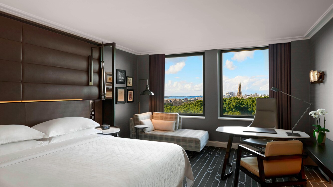 Hyde Park View King Guest Room
