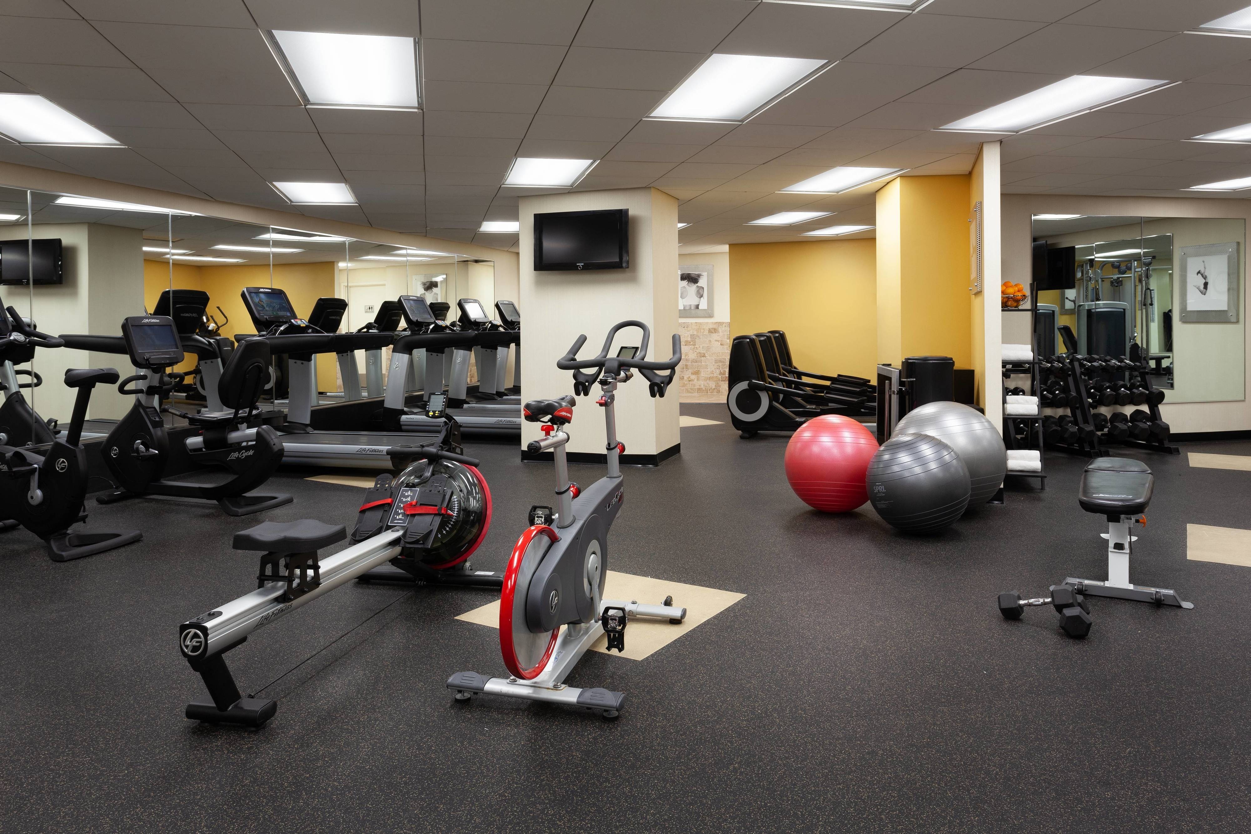 Fitness workout equipment