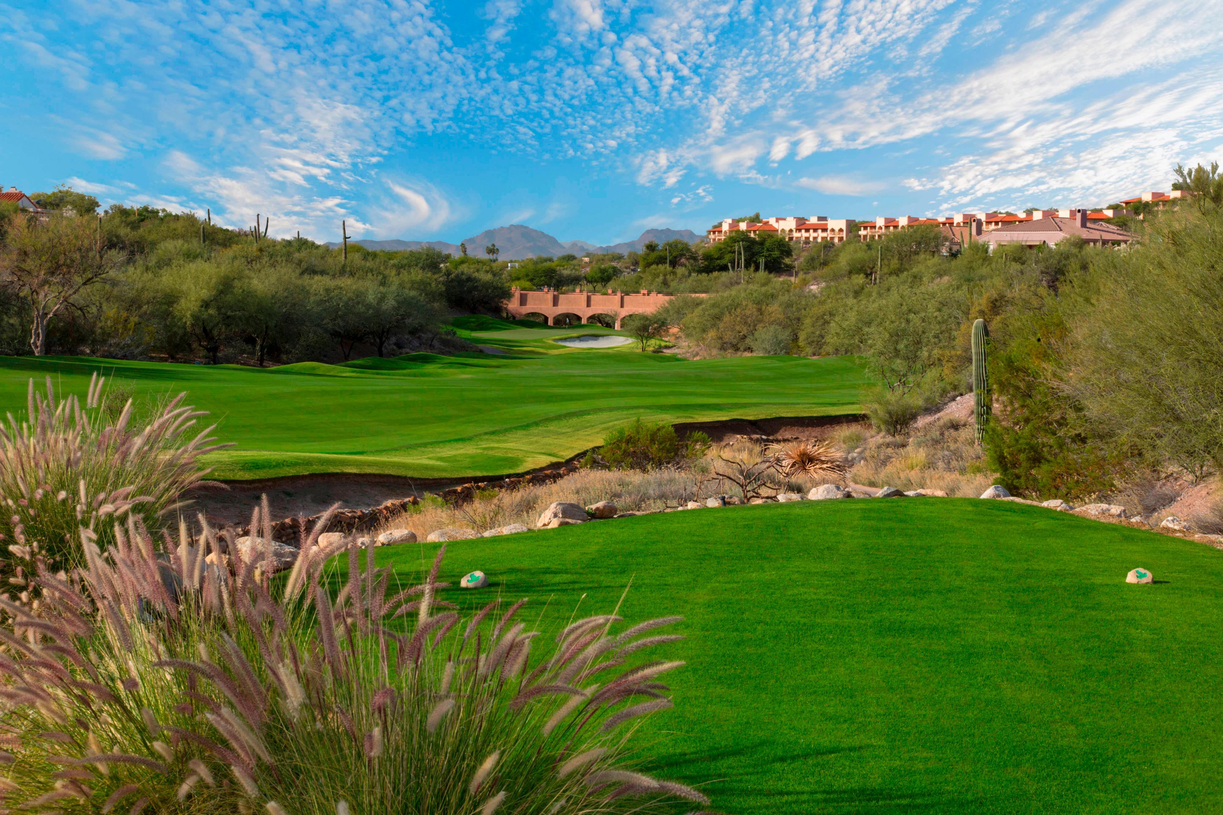 Green golf course during daytime