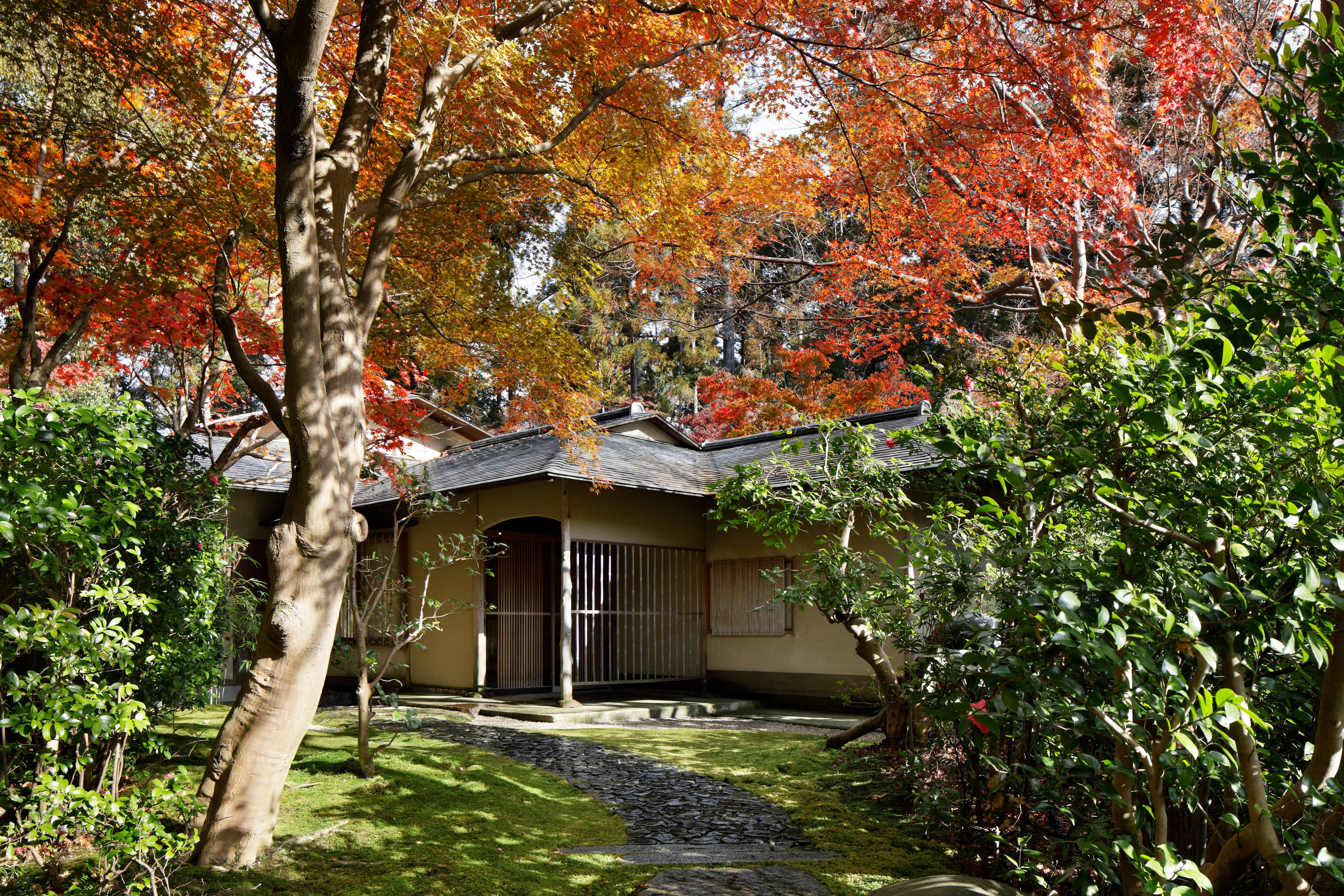 Tea house