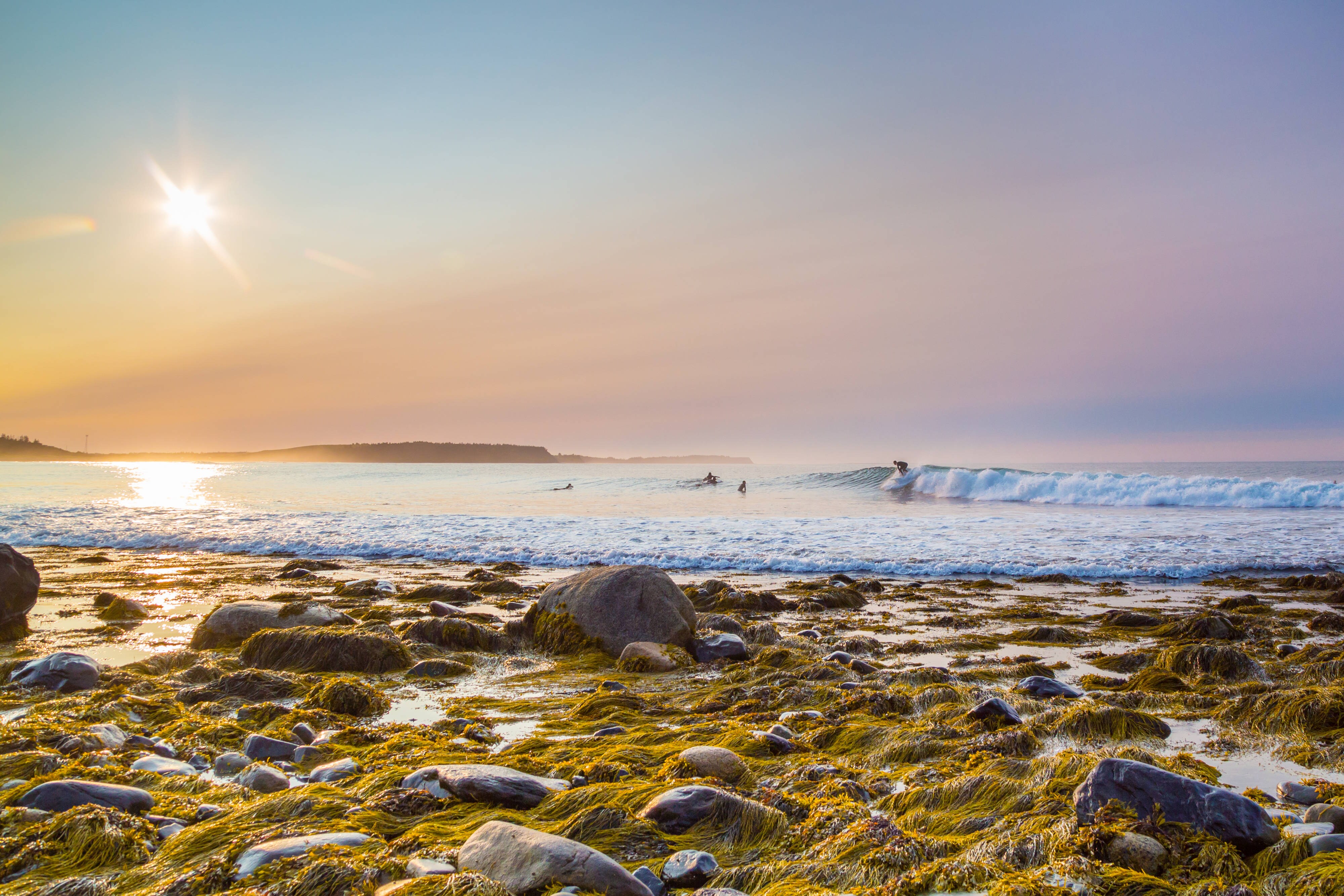 Halifax Beach