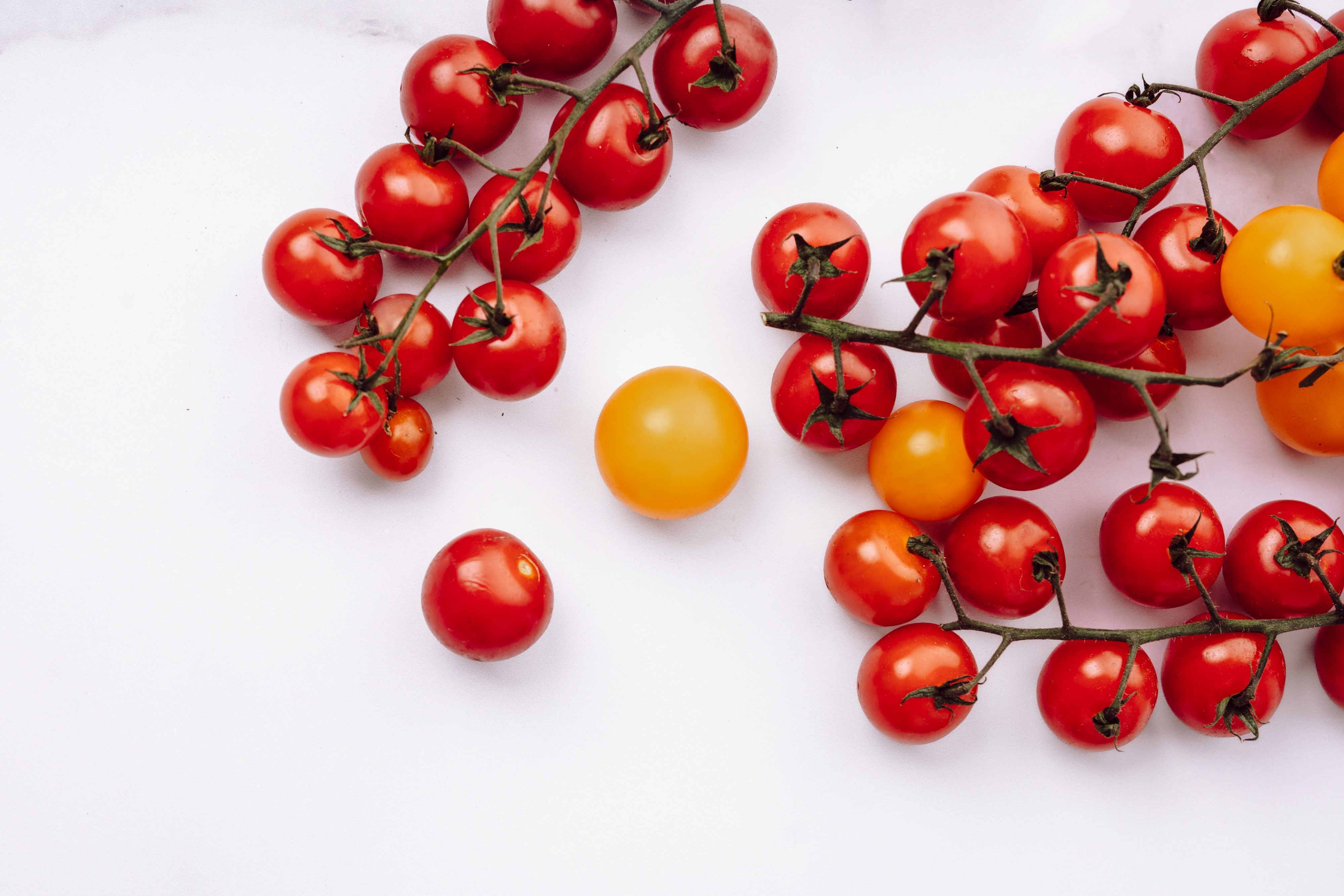 Tomatoes