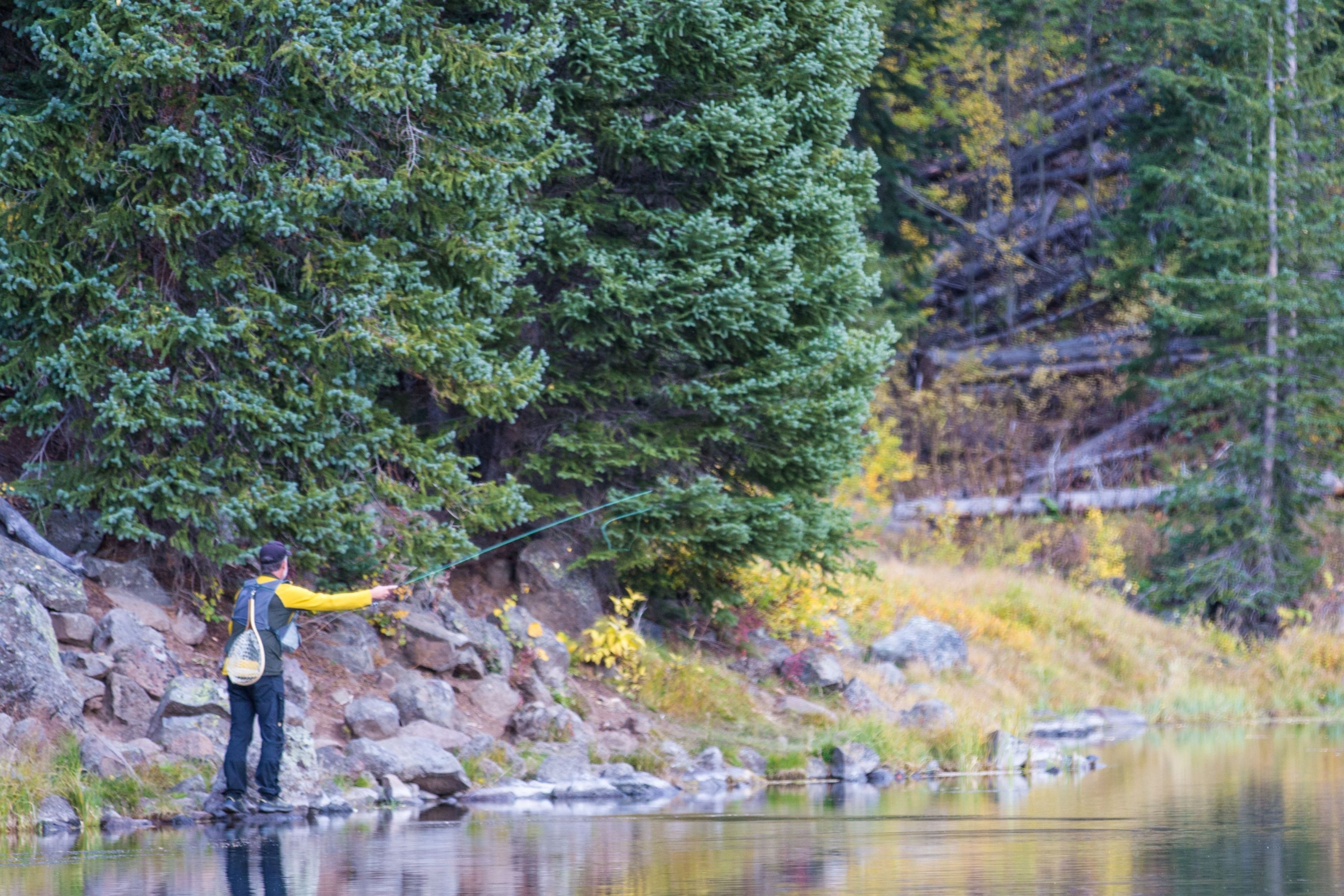 Person fishing