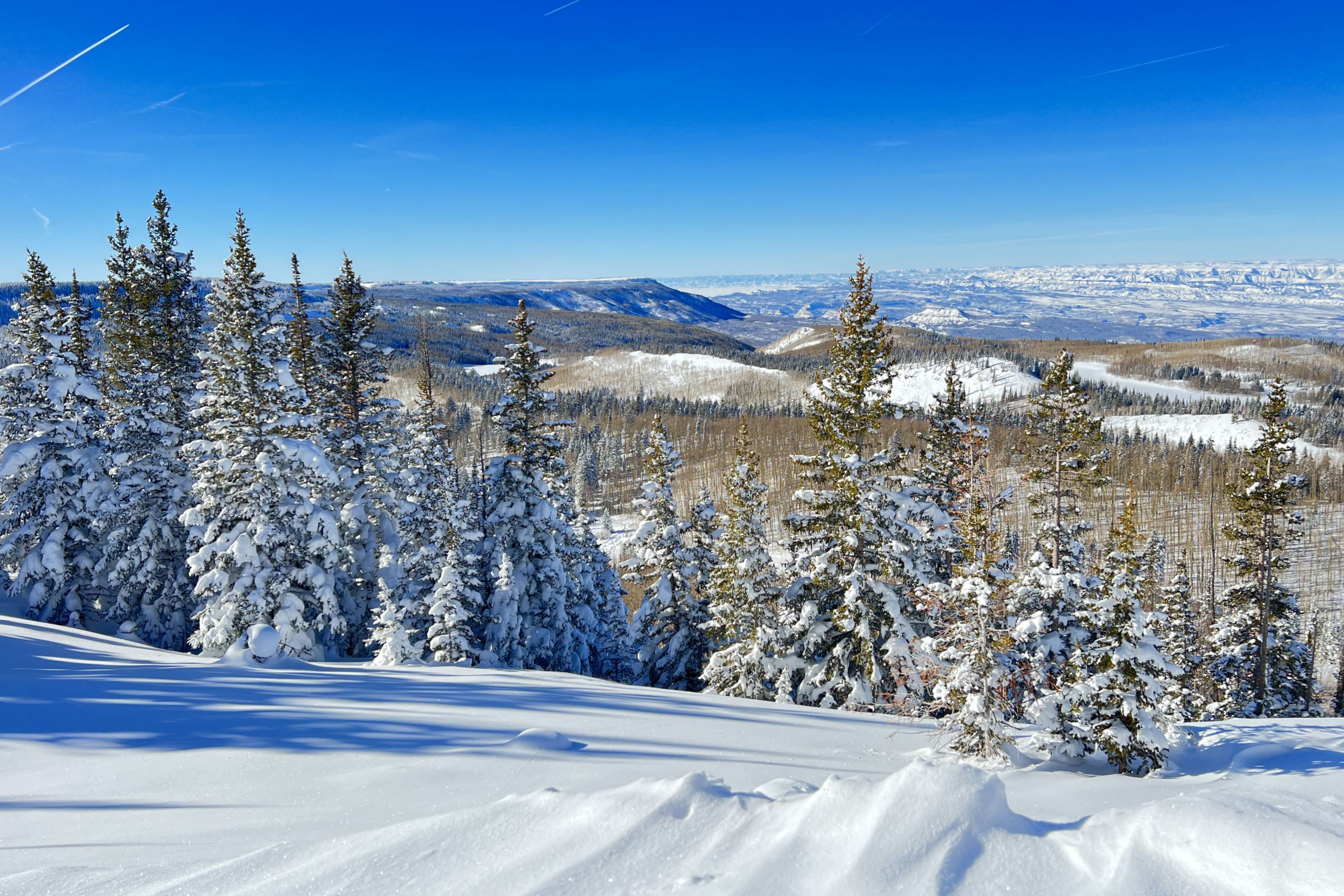 Ski area