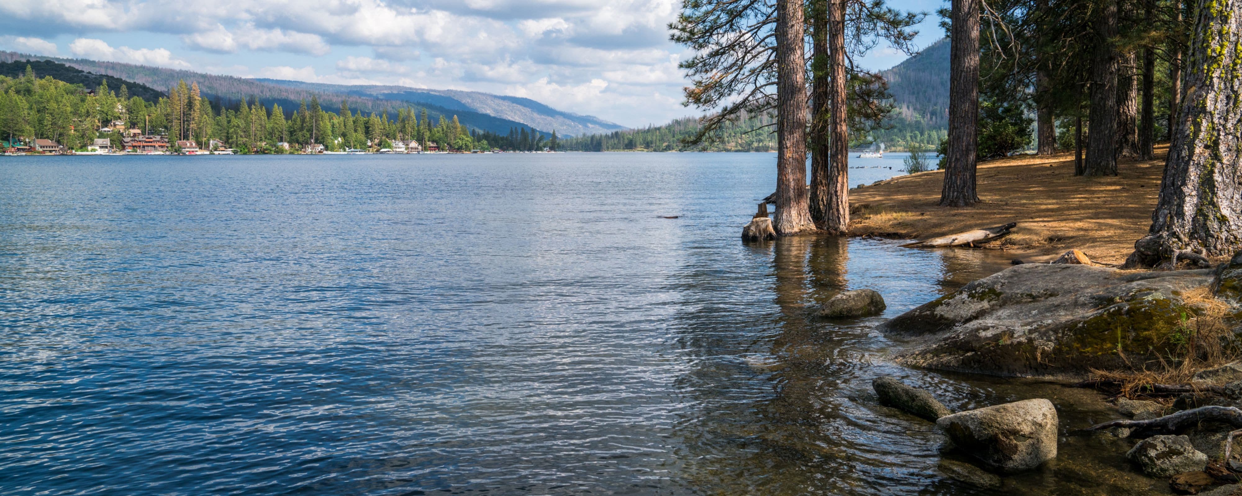 The banks of a lake