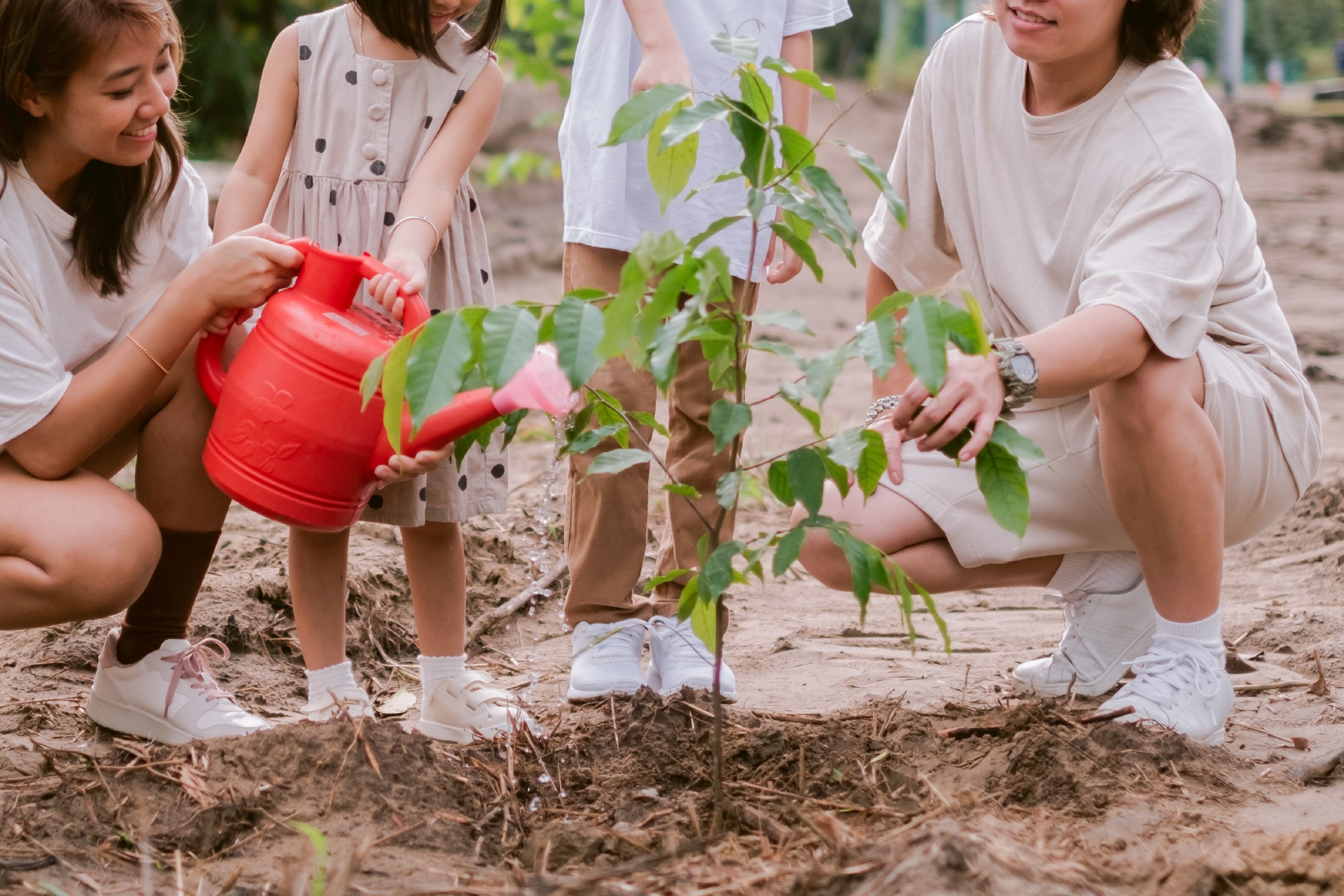 People planting a tree