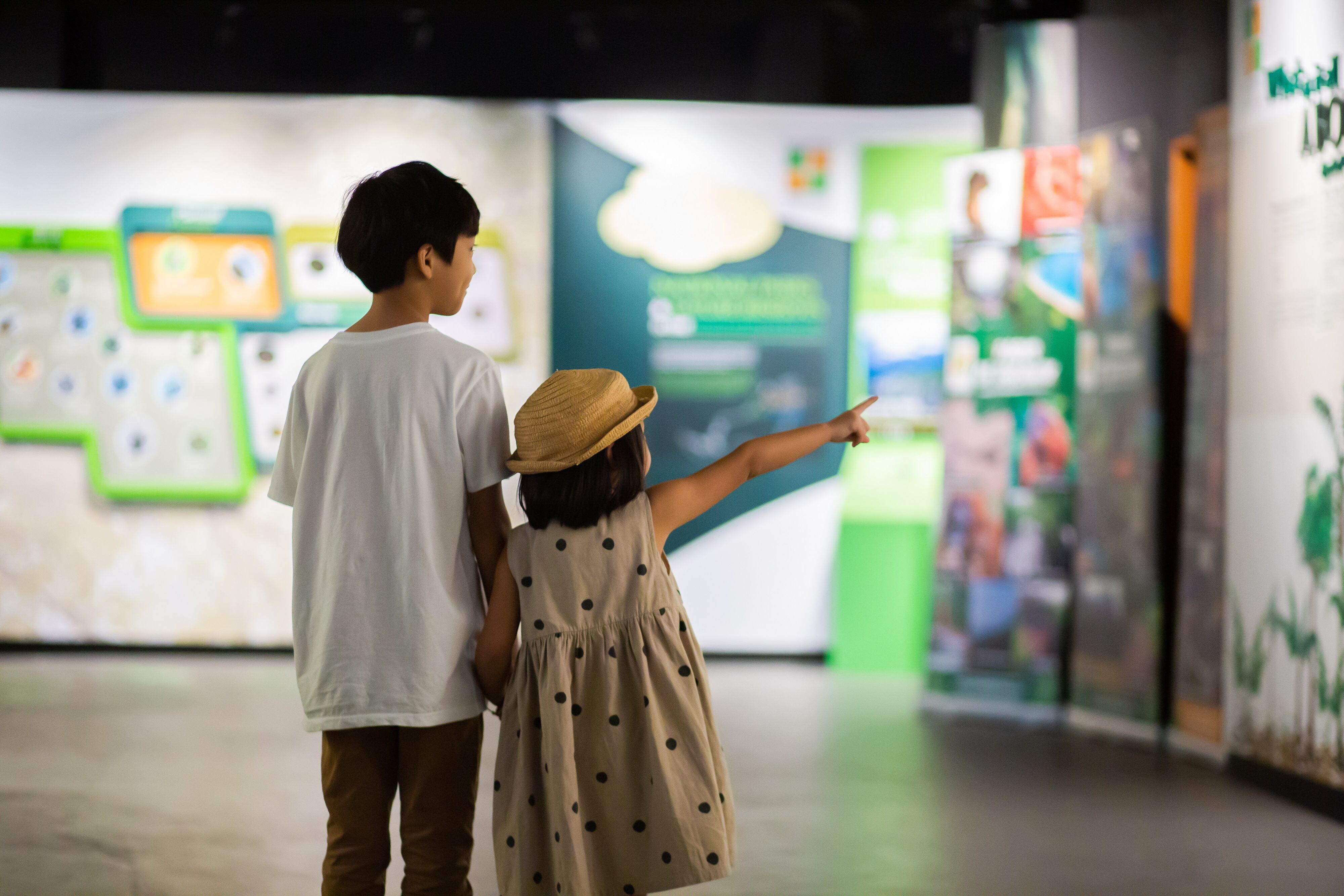 Children looking at exhibits in the hornbill conservation center