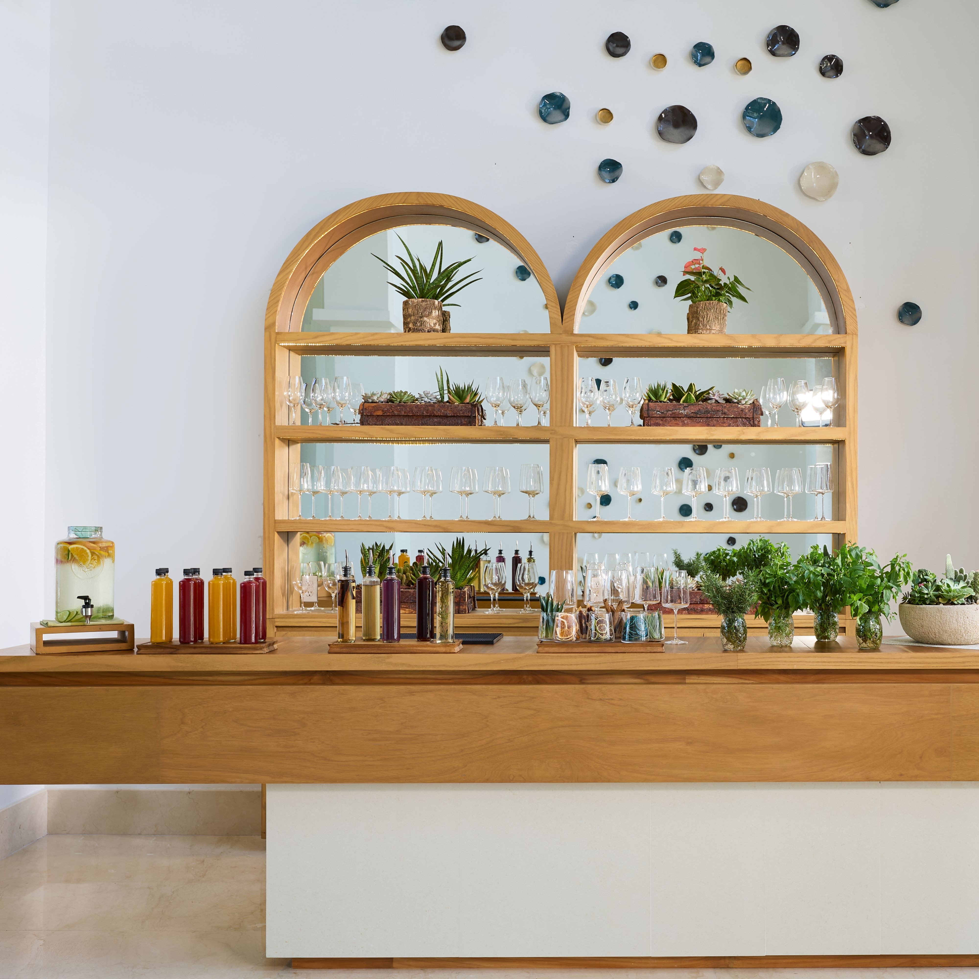 Un mostrador con botellas y plantas.