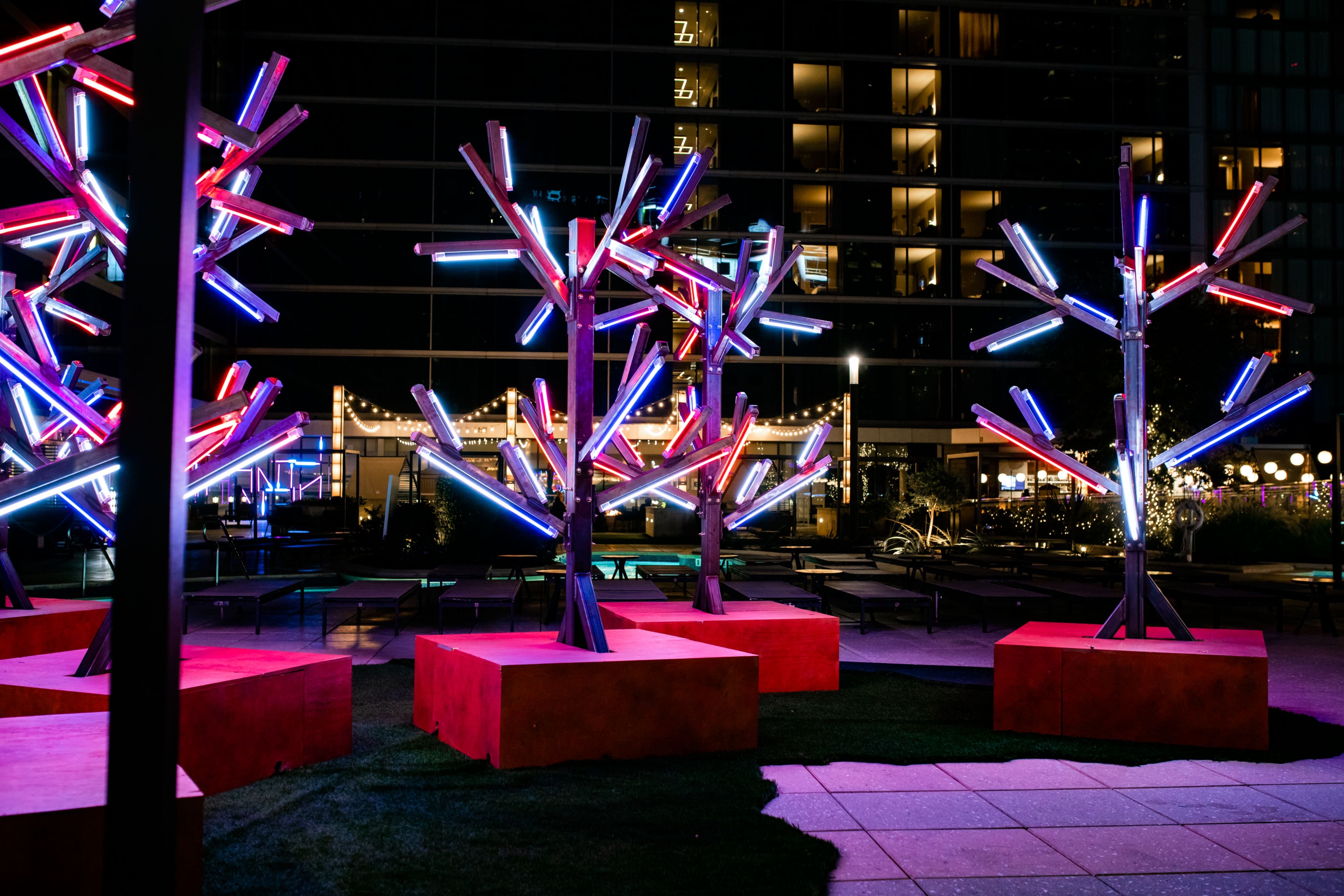Texas Winter Lights