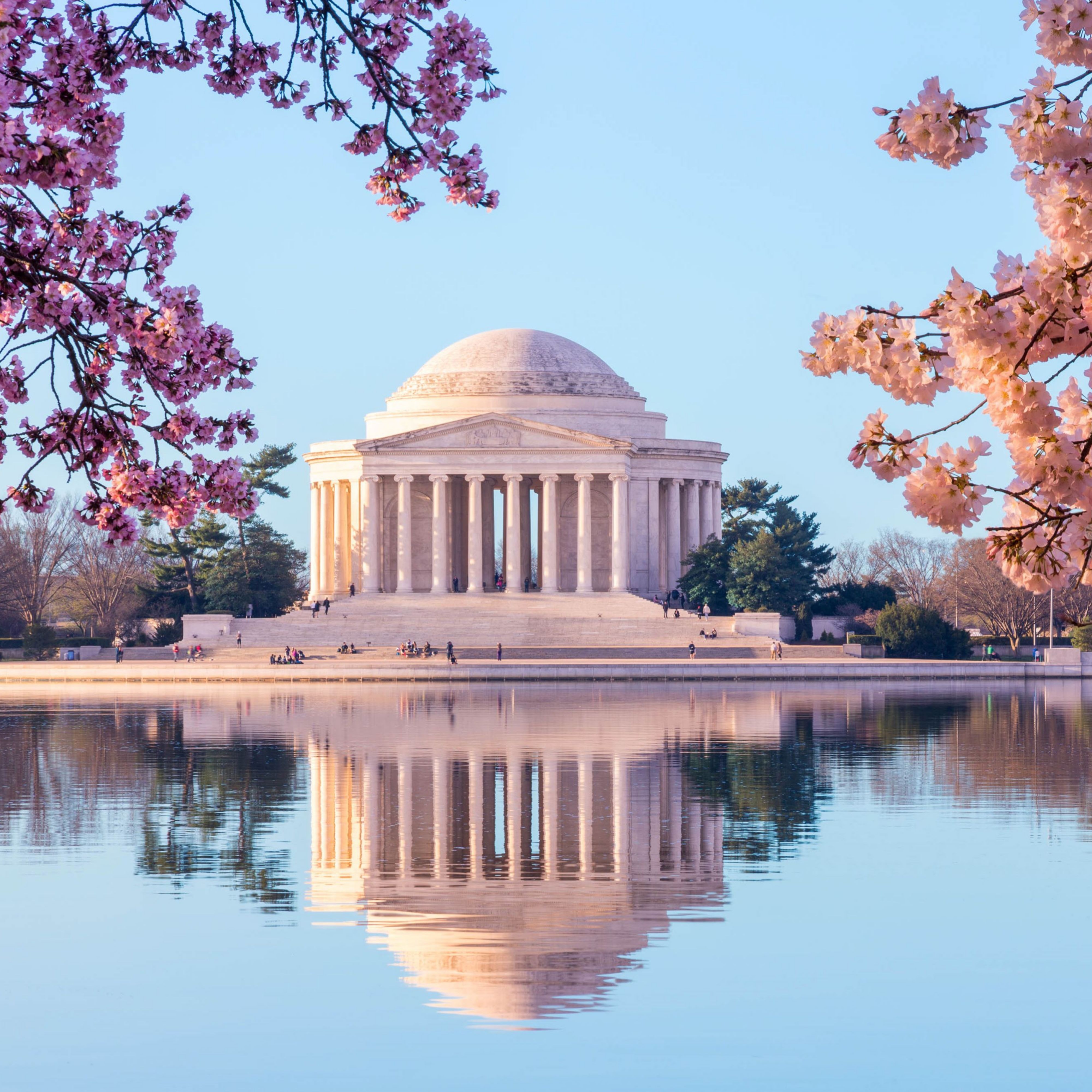 Cherry Blossom Festival